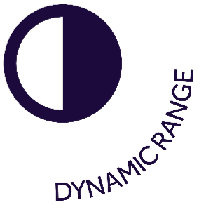 dynamic 