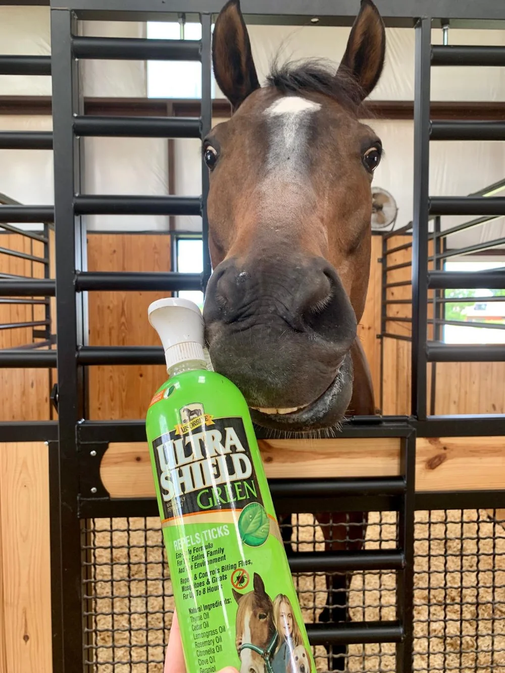 Does Cedar Repel Flies: Discover the Surprising Truth