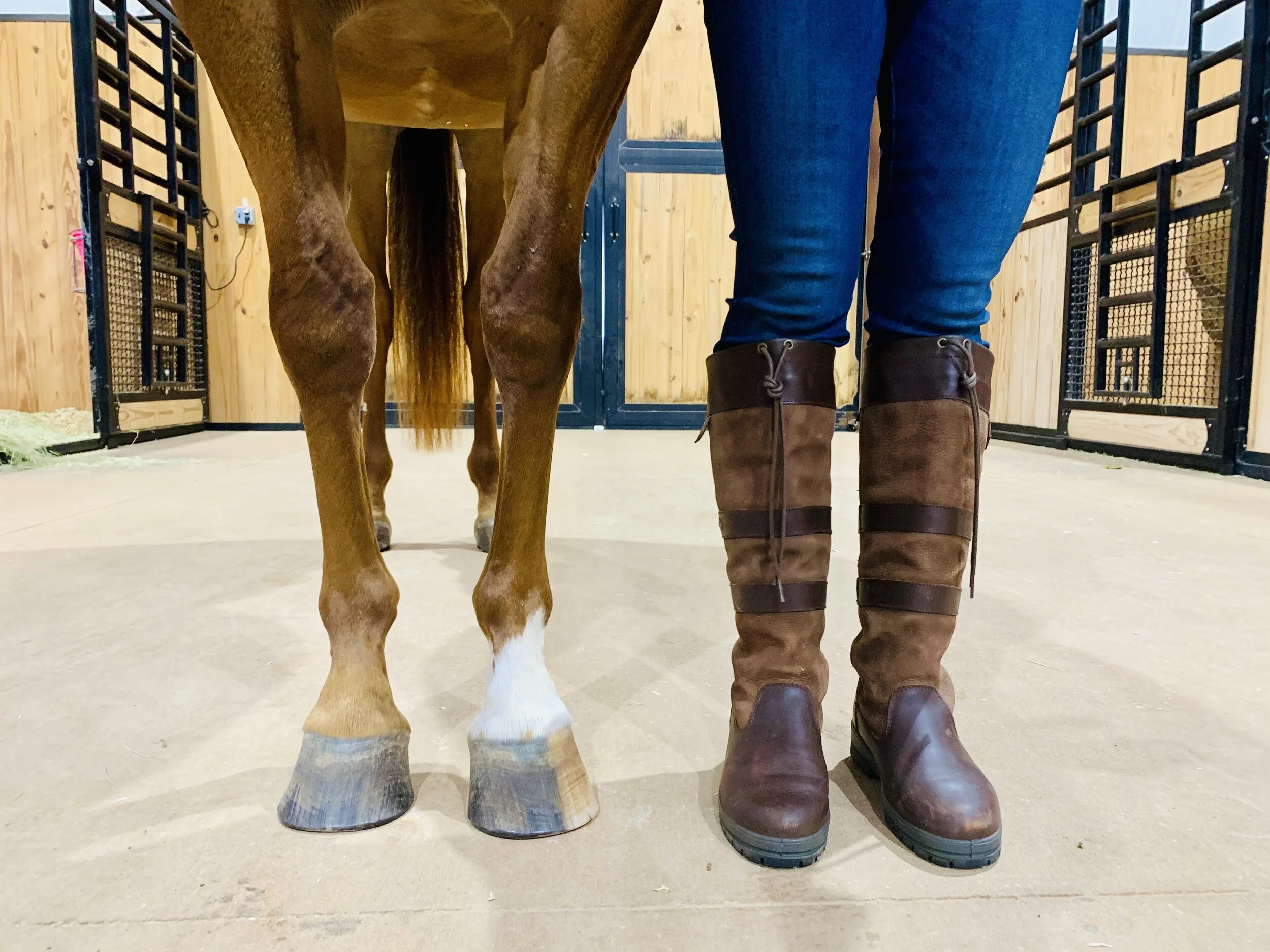 Boot Up: My Favorite Non-Riding Boots