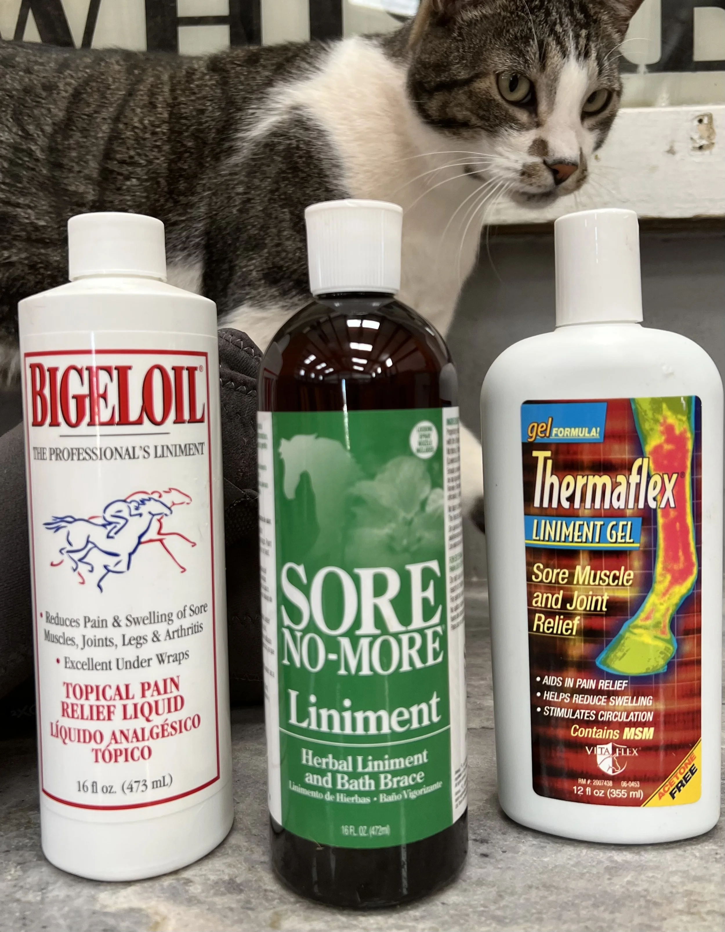 How Does It Work? Liniment