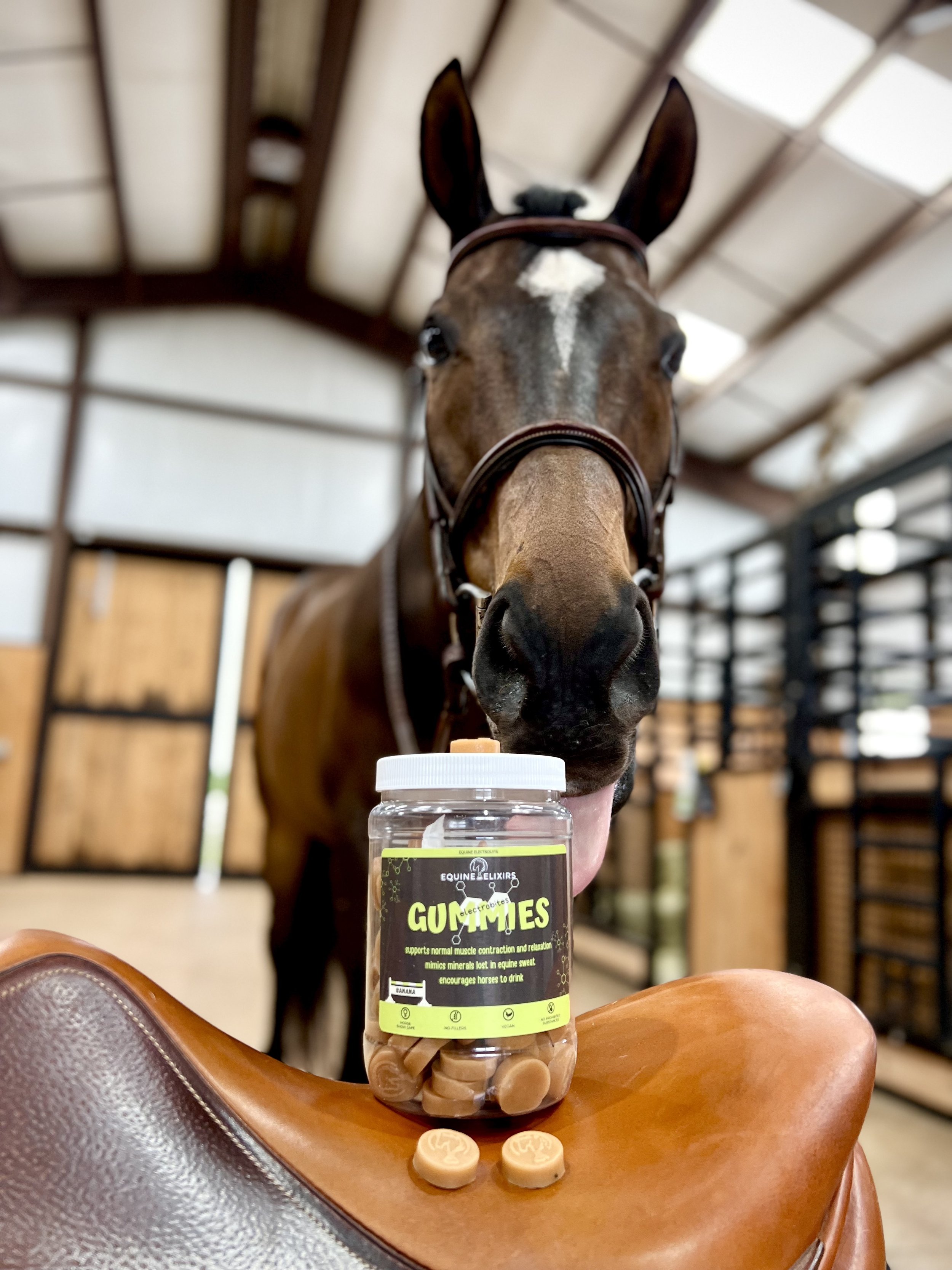 Equine Elixirs Electrobites Electrolyte Gummy