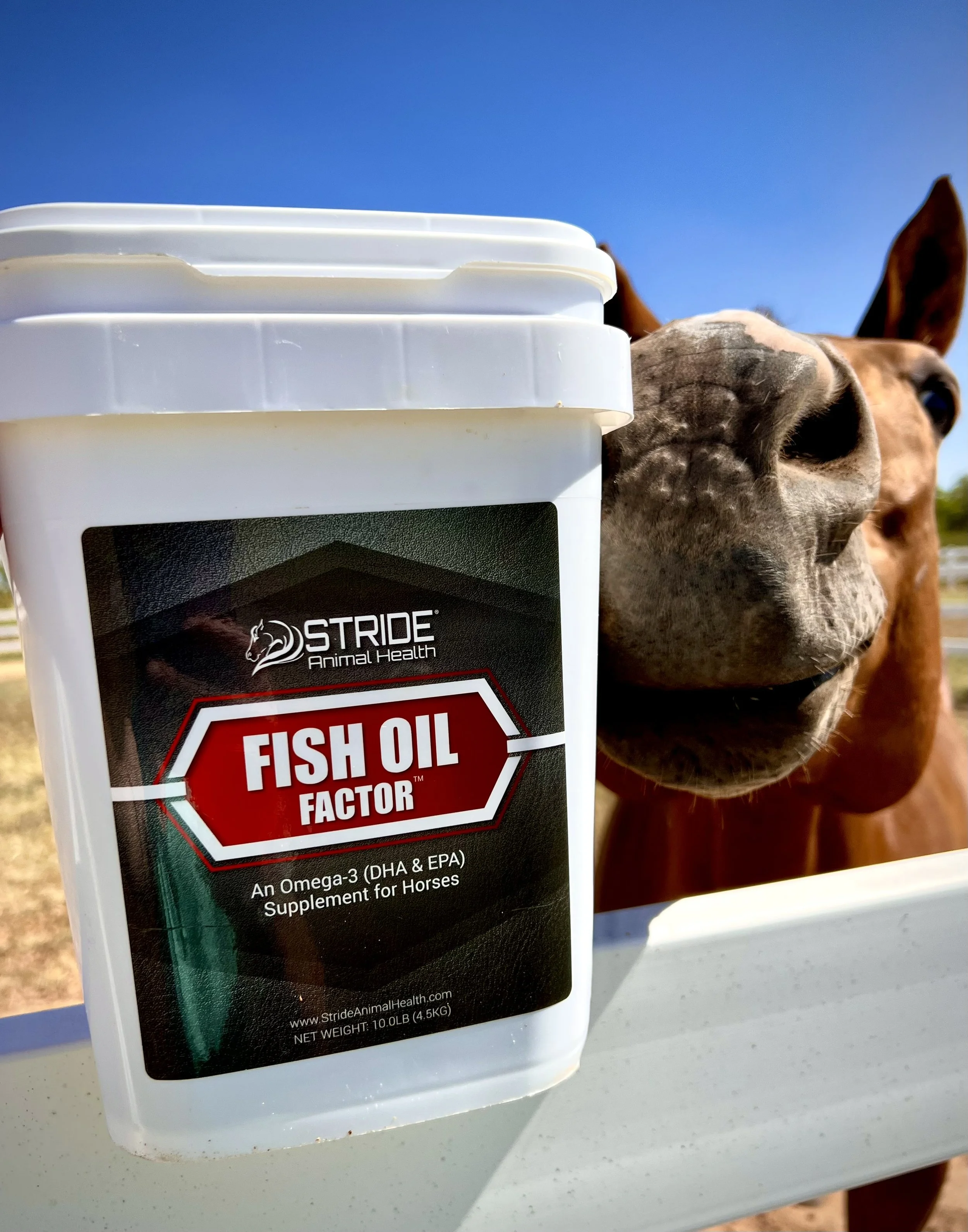 Supplement Hero or Zero: Stride Animal Health Fish Oil Factor