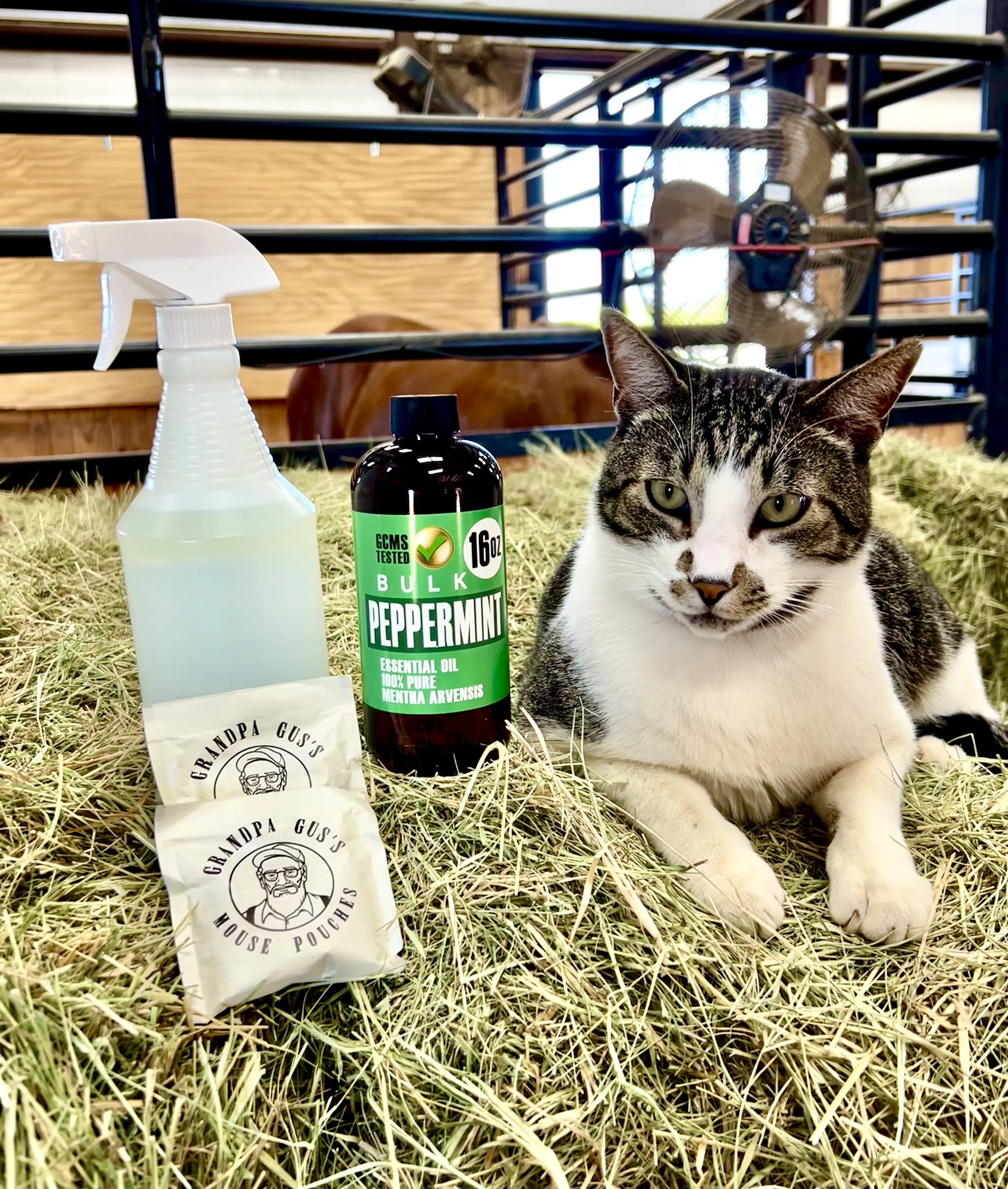 How To Repel Mice Naturally