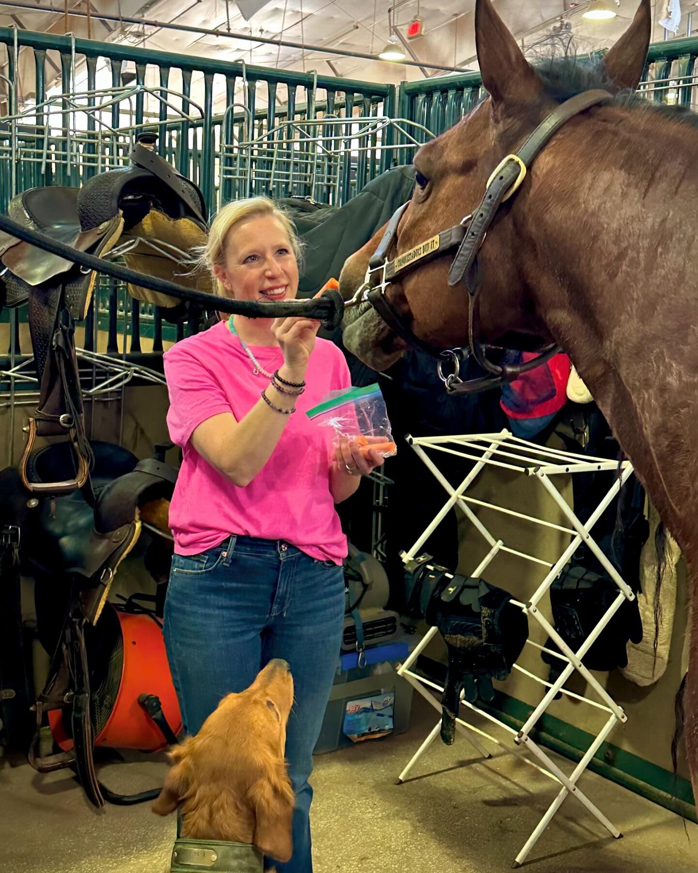 We both enjoy post-ride treats! Carrots 🥕 and German Muffins (IYKYK) 🍪 are Tiger&rsquo;s favorites. 

#okrharideandslide #okrhareining #reining #reininghorse #tiger #horsetreats