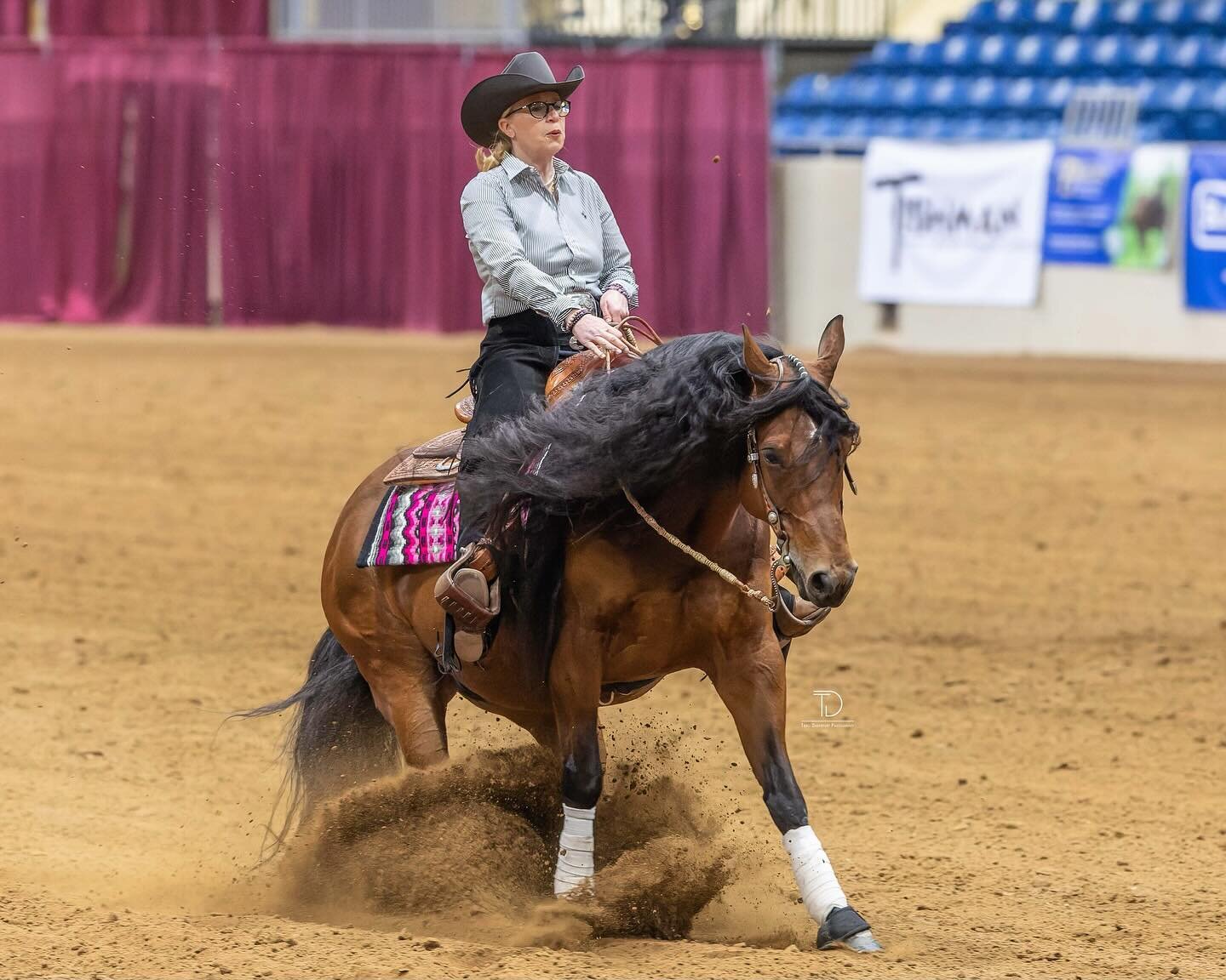 Ride and Slide and Pretty In Pink

@bentleyshowpads saddle pad ❤️ 

#okrharideandslide #okrha #reining #reininghorse #saddlepad #fancyladycowgirl #alwayspetyourhorse #horseshowlife #longmane #tiger #eyeofthetiger #onefinebay