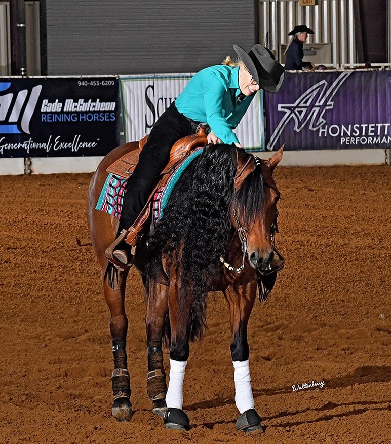 &ldquo;The best portion of a man&rsquo;s life is his little, nameless, unremembered acts of kindness and of love.&rdquo; William Wordsworth 
#alwayspetyourhorse 

#reining #reininghorse #nrbc #horseriding #horsegirl #onefinebay #tiger #aqhaproud #aqh