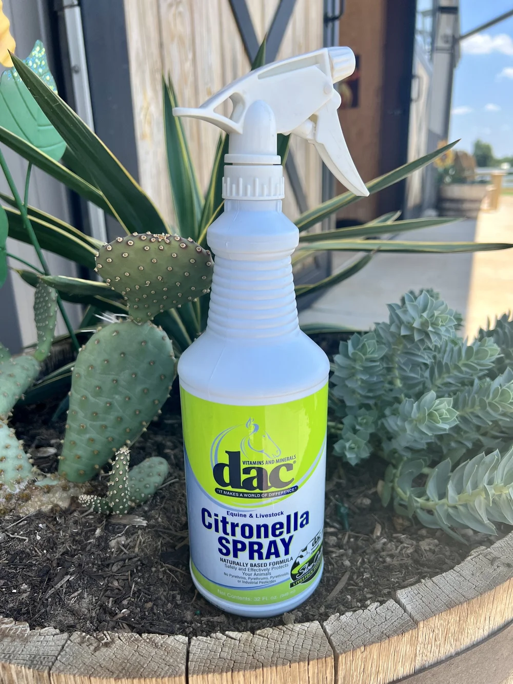 How Does It Work? Citronella Oil — One Fine Bay