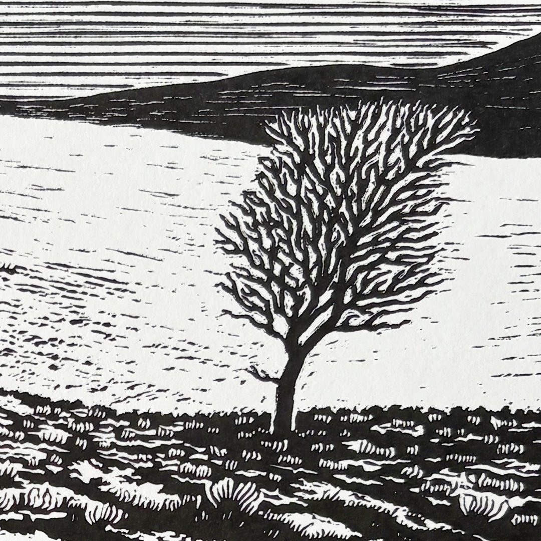 Dog & Bird-Glen Clova_Linocut_Gregory Millar_Detail 3.jpg