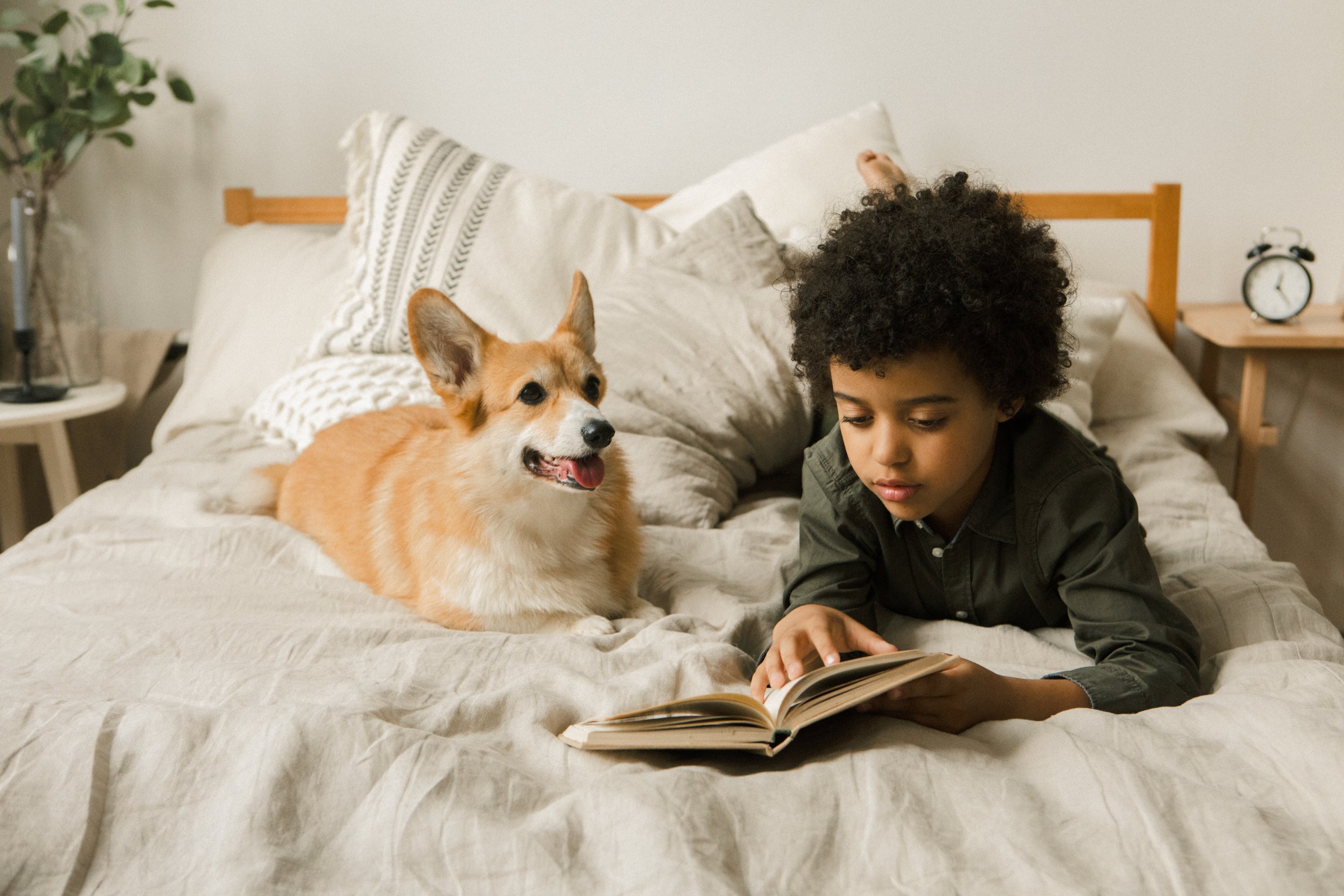 Restaurants Add Books to the Menu with Summer Reading Programs