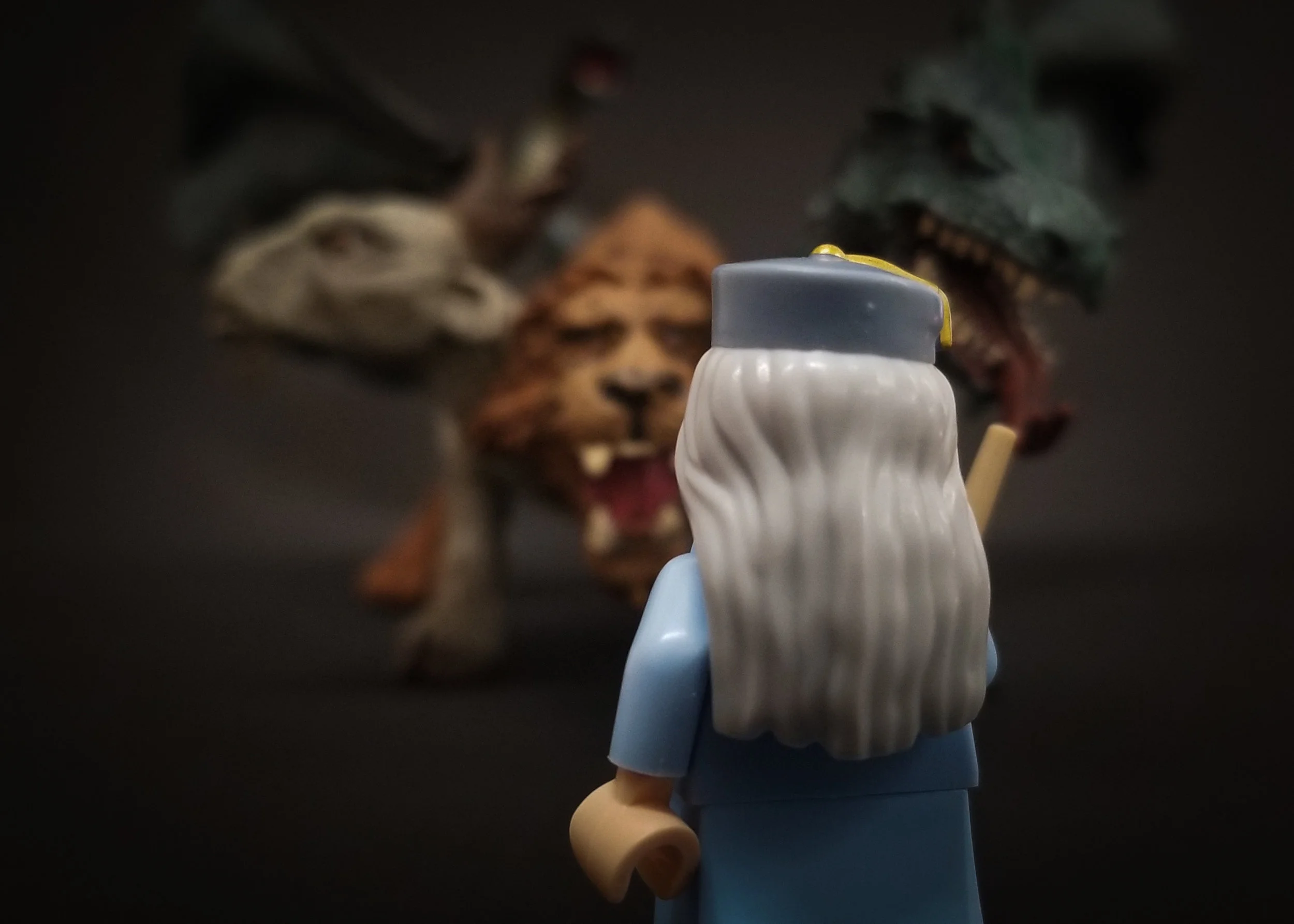 danger zone (1 of 1).jpg