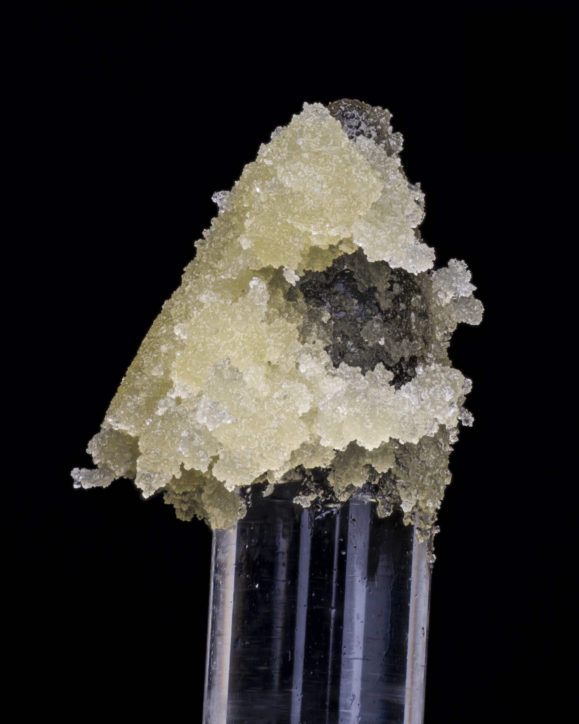 TKO - No Logo 1 - Triangle Kush X GMO..jpg