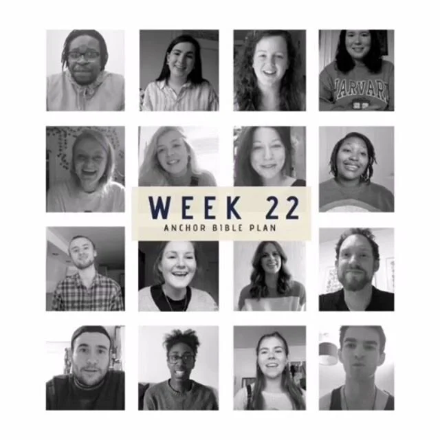 Week 22 of the Bible Plan is here. Read along and check out the recent Anchor Voices that have gone alongside.