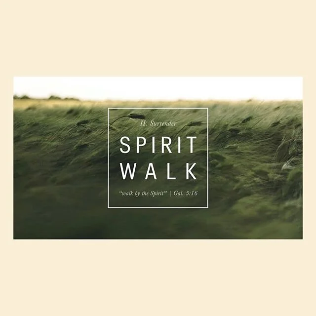 Join us online this Sunday as we carry on our Spirit Walk series with 'Surrender'
Start | 12PM