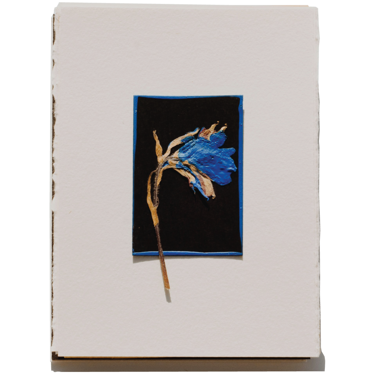 Good Friday Communion