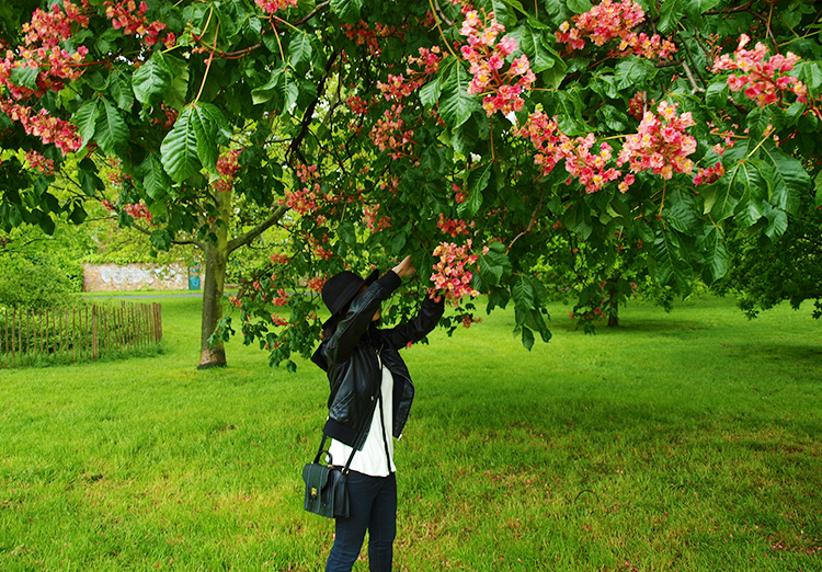 prim1.png