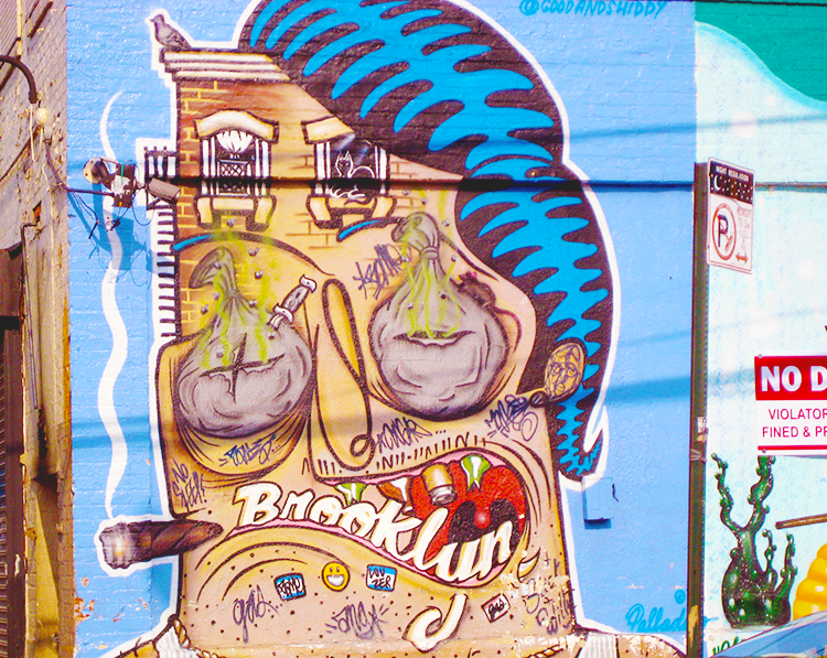 The street art or graffiti around Bushwick, Brooklyn, NYC