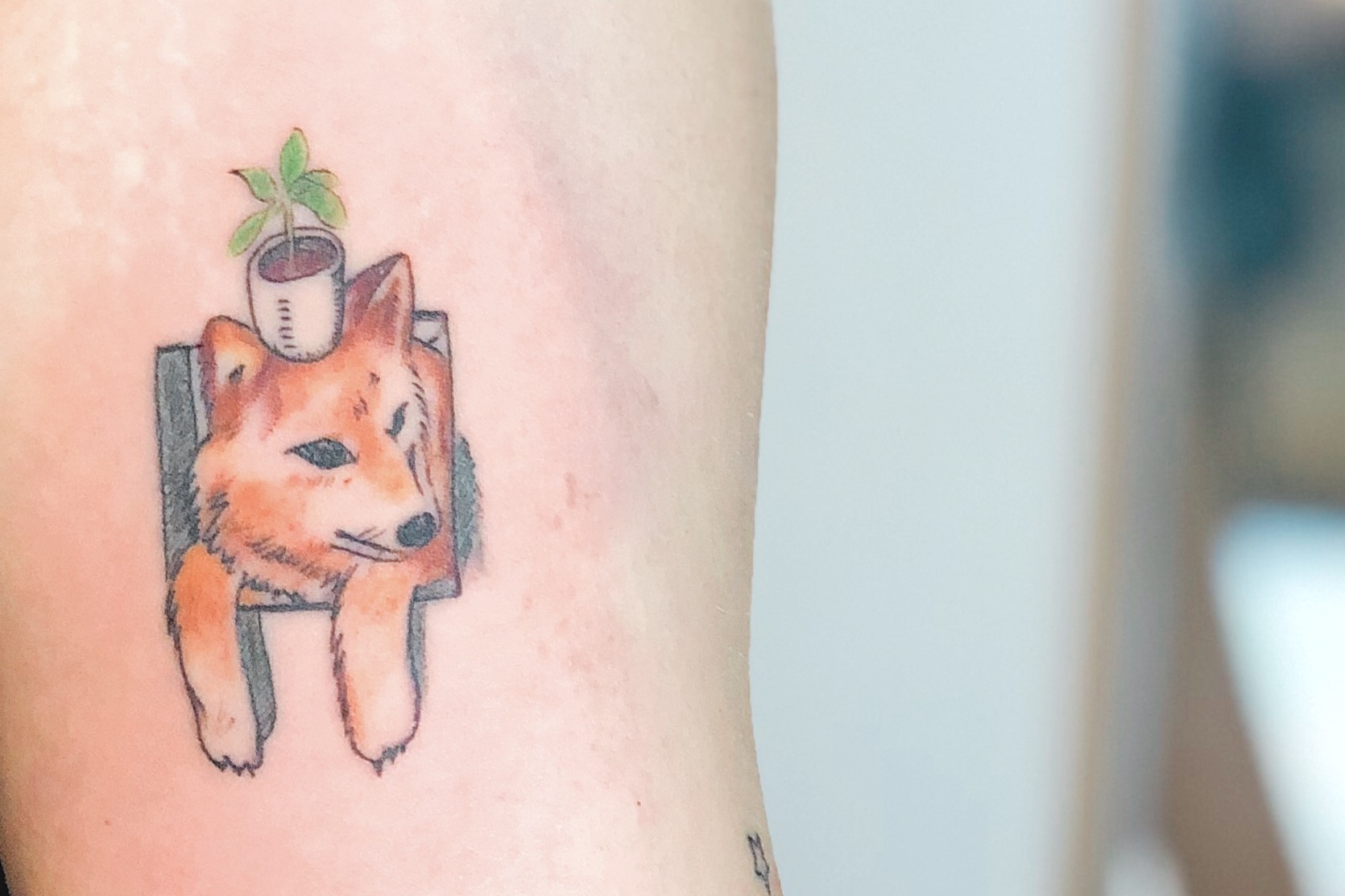 Tattoo Artist: Hannah Kang kikkujo’s dog is cute. I like to think the dog is encouraging the growth of his little plant buddy and me.