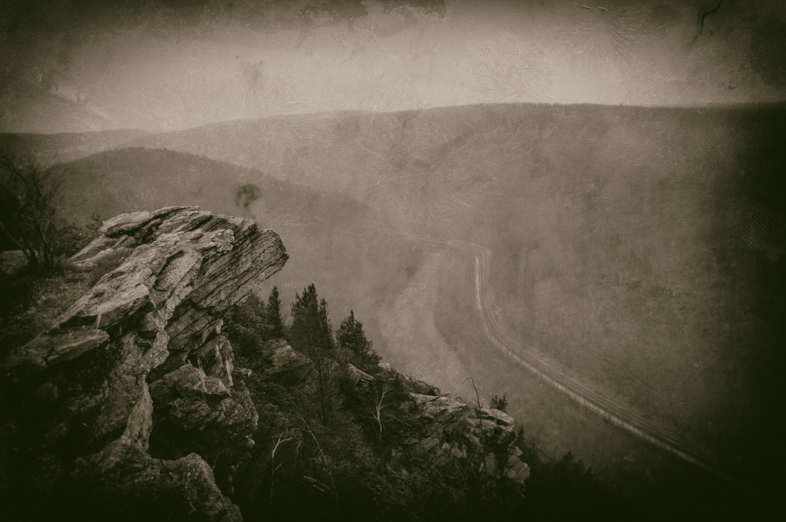 growth rings album-9.JPG