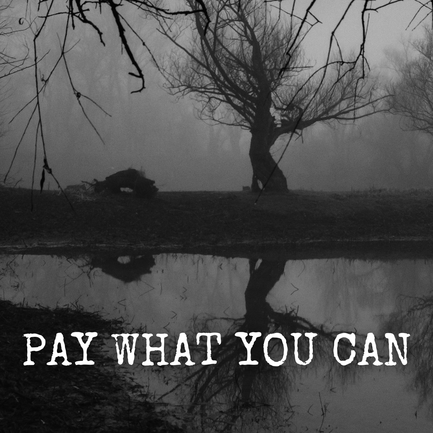 Pay What You Can.png