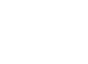MC-WHITE.png