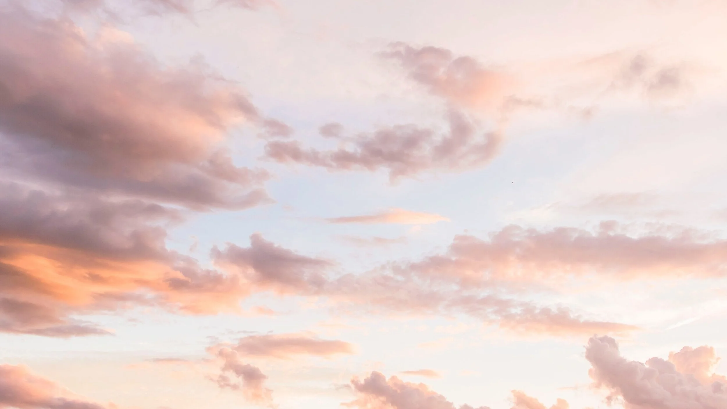 davies-designs-studio-_UCVrH-ZIIg-unsplash.jpg