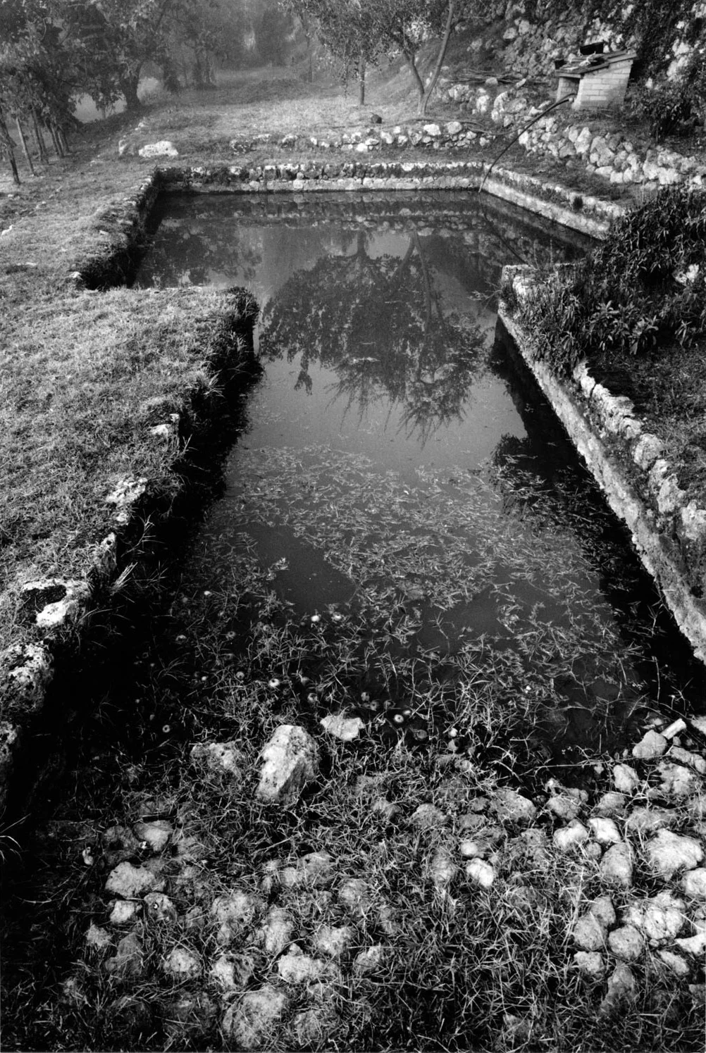 Washing Pond 2