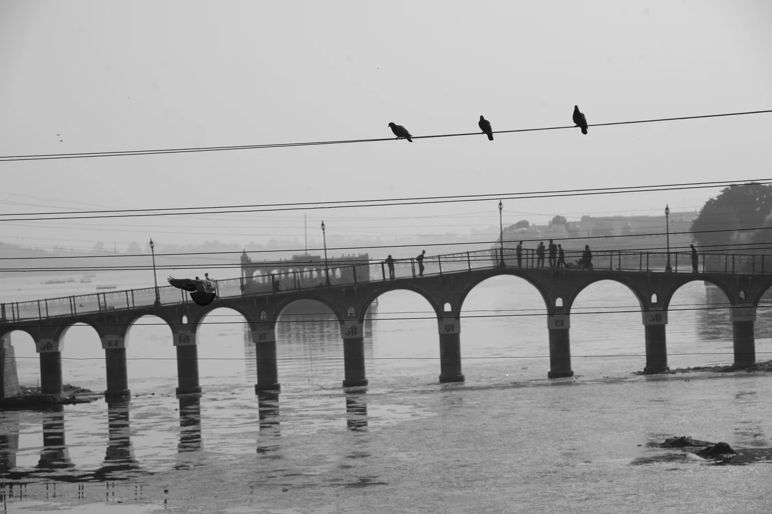 Bridge at Jaipur