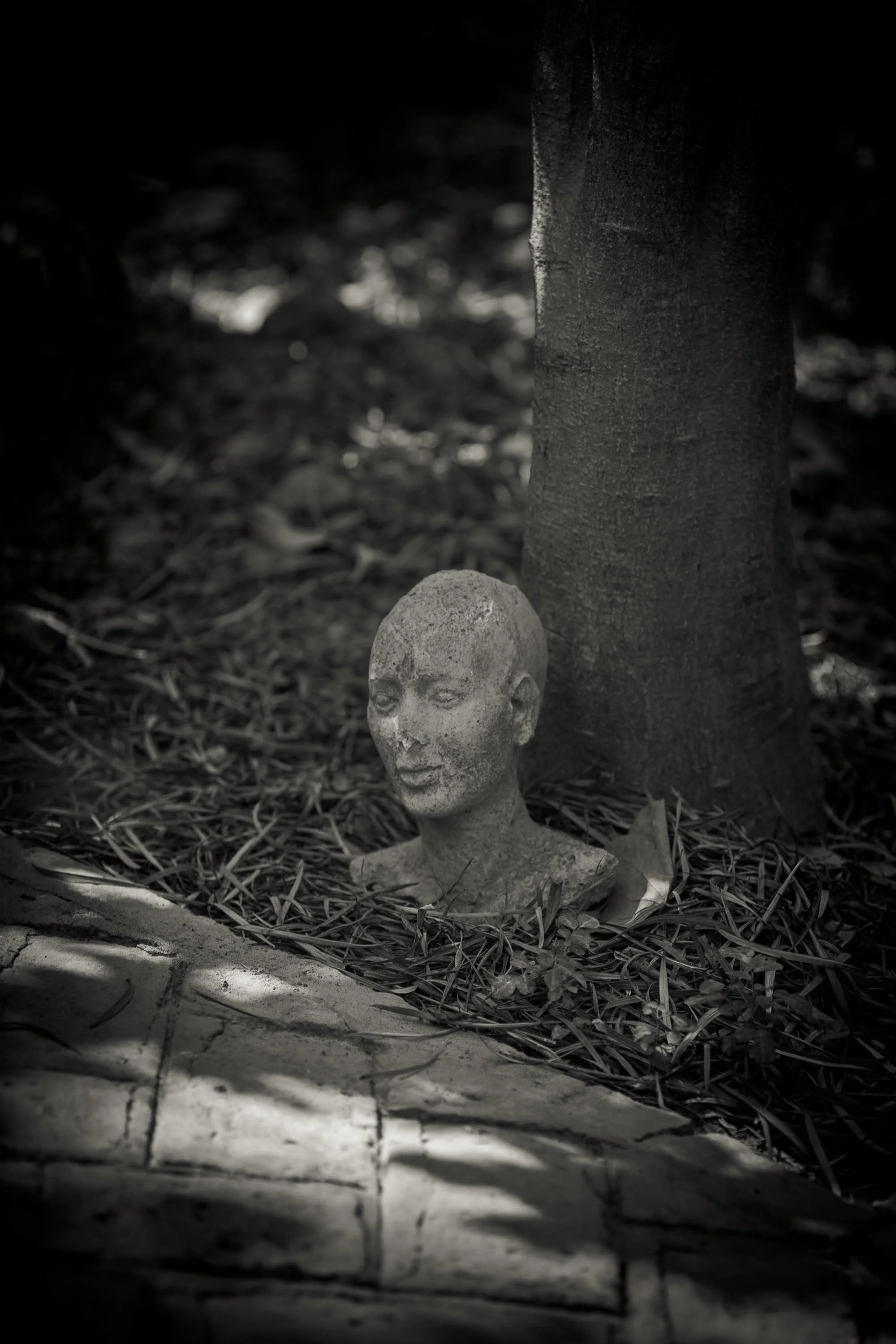Statue Head in Light