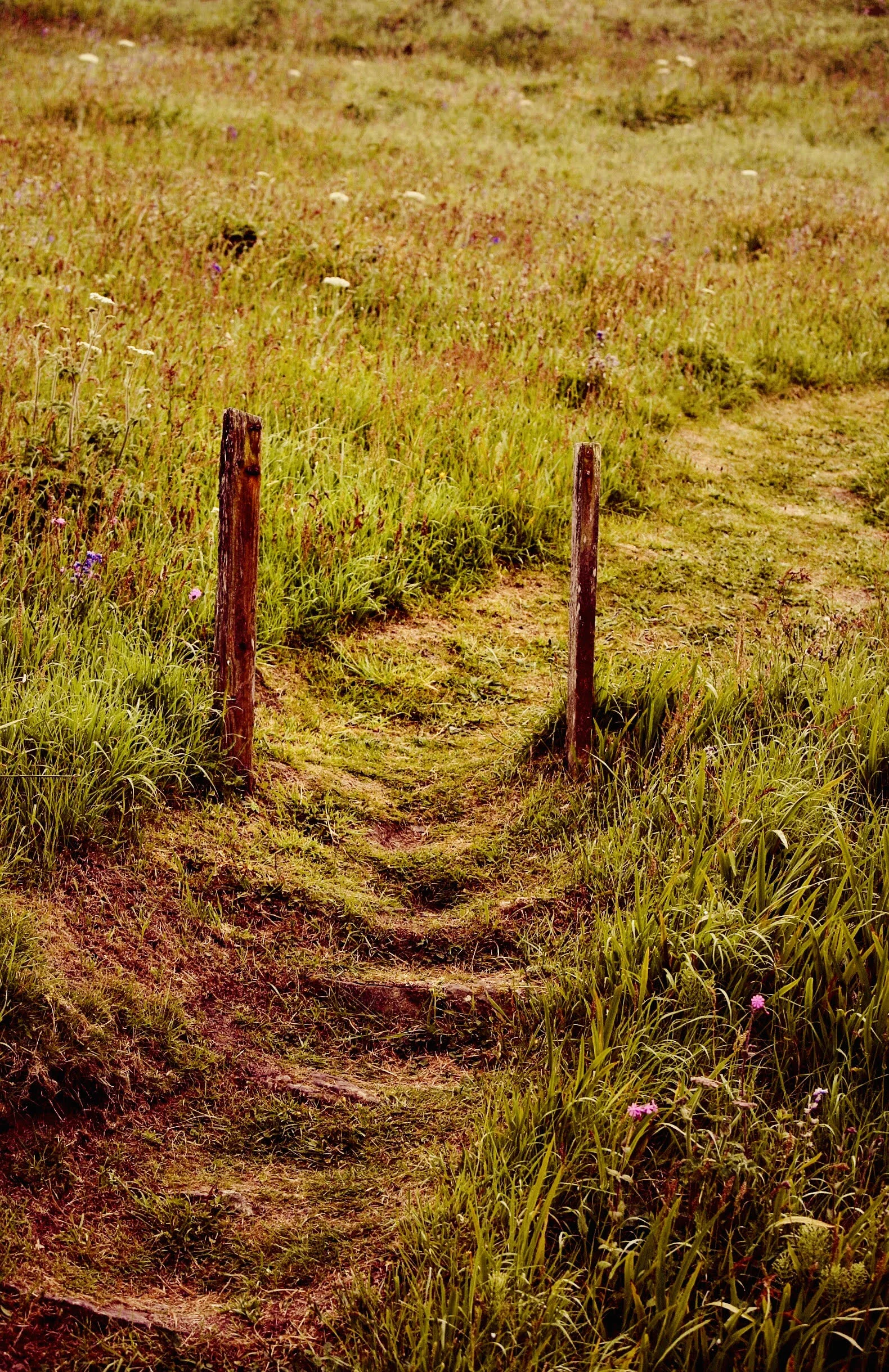 Heaven Gate