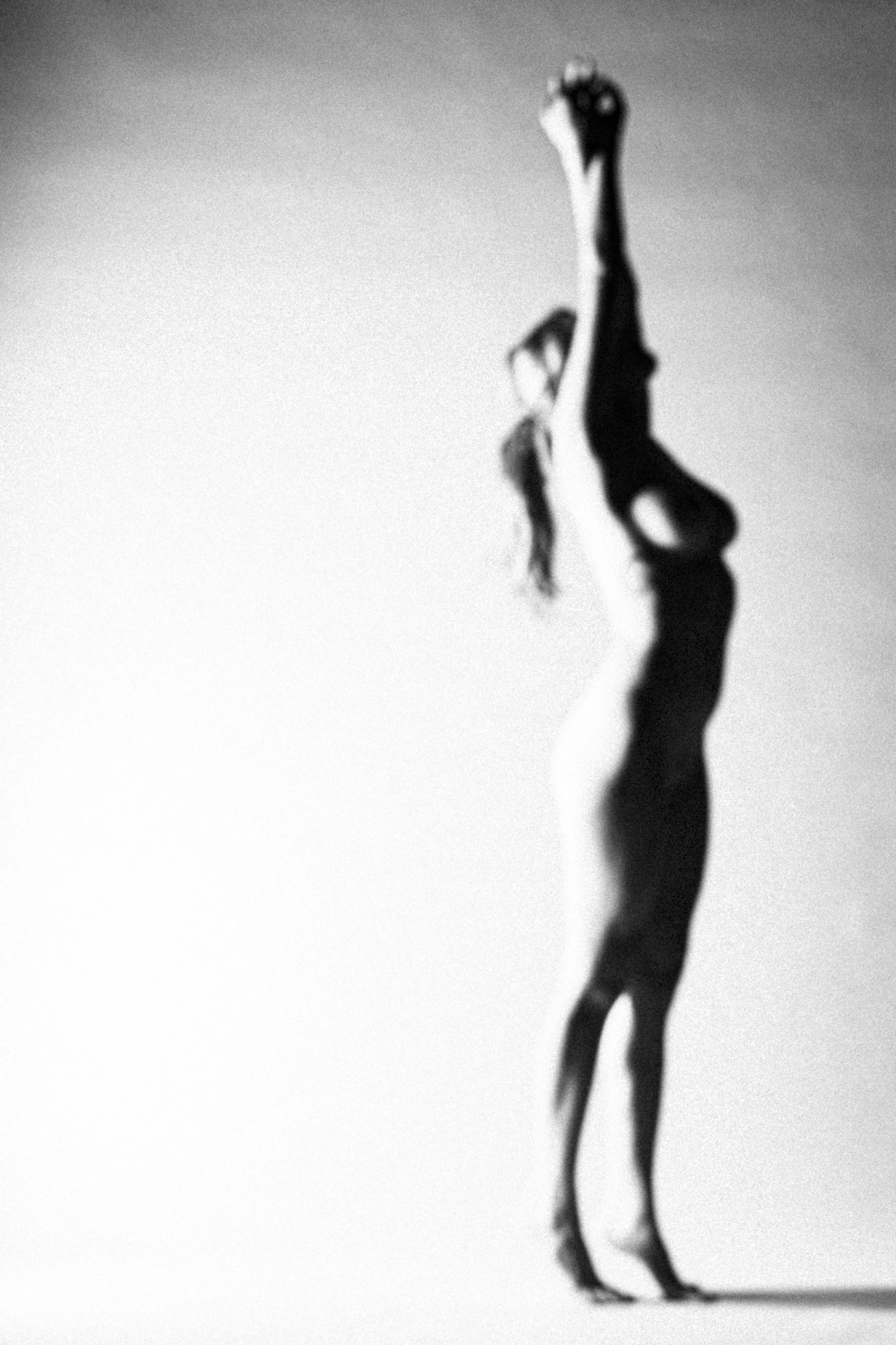 _X5A0214.jpg