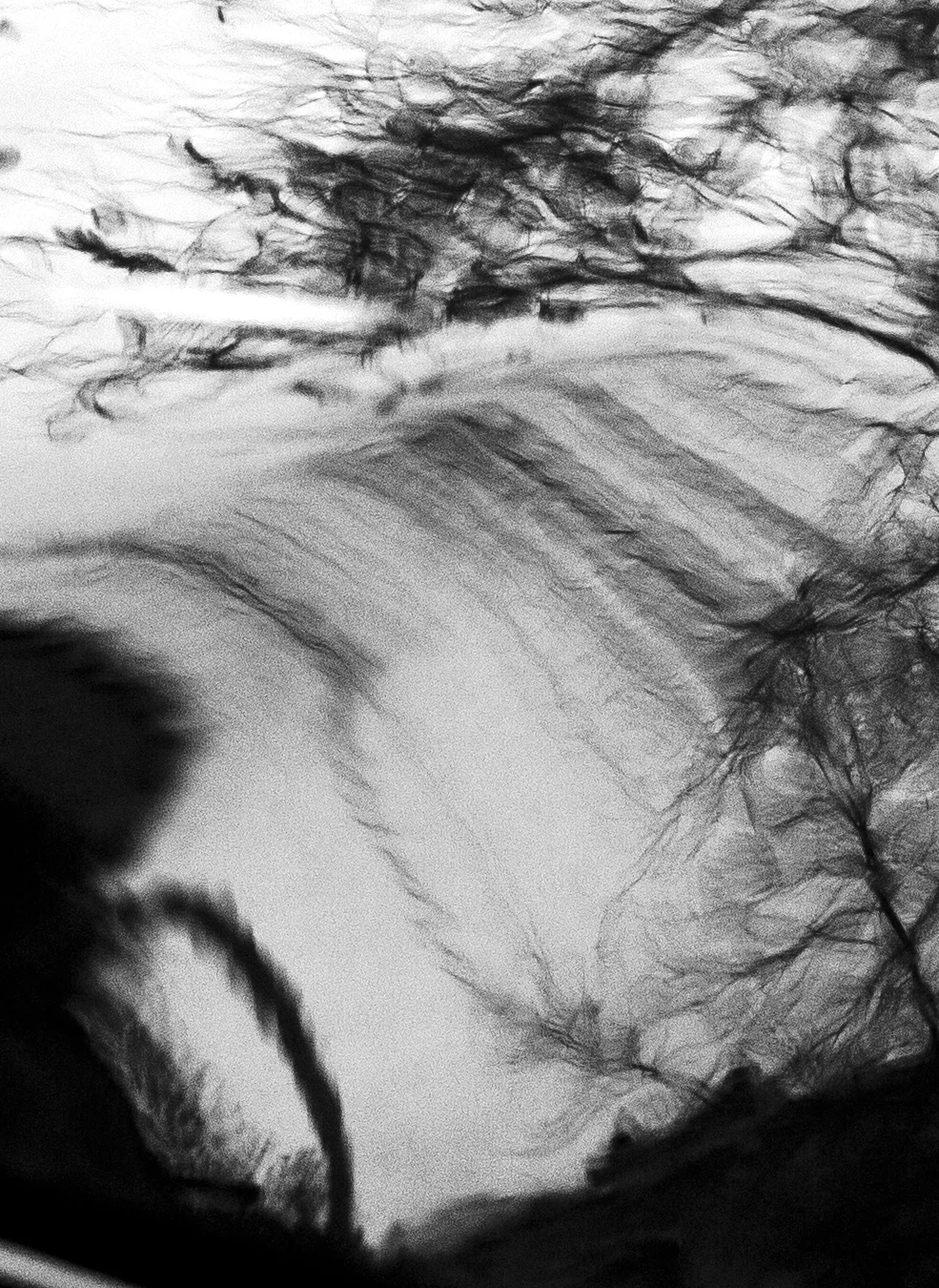 Details 7.jpg