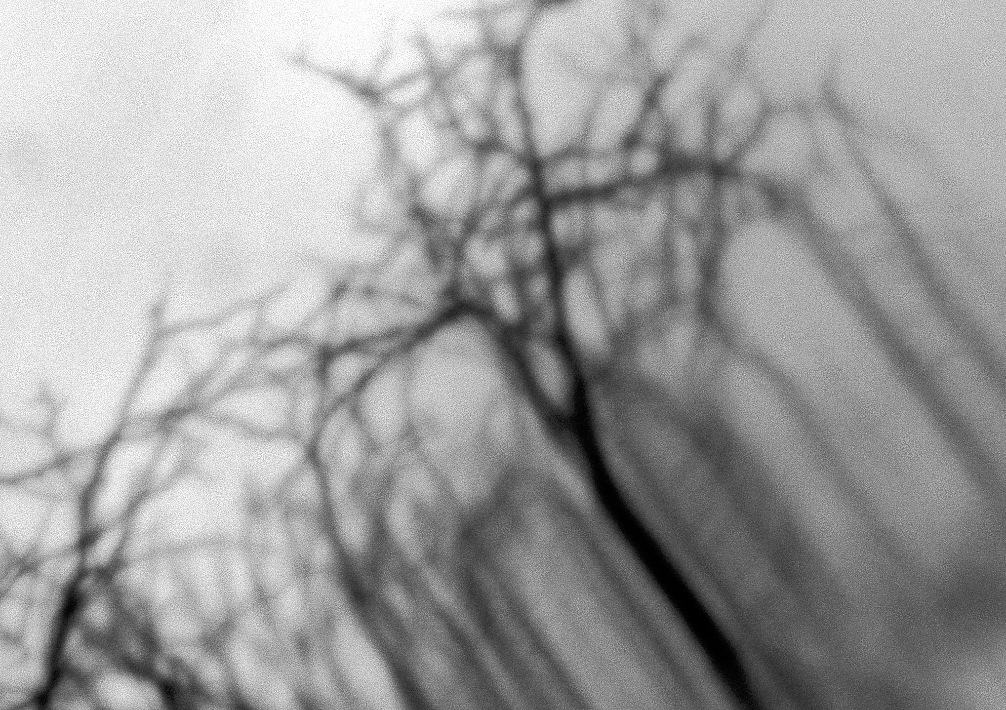 Details 4.jpg
