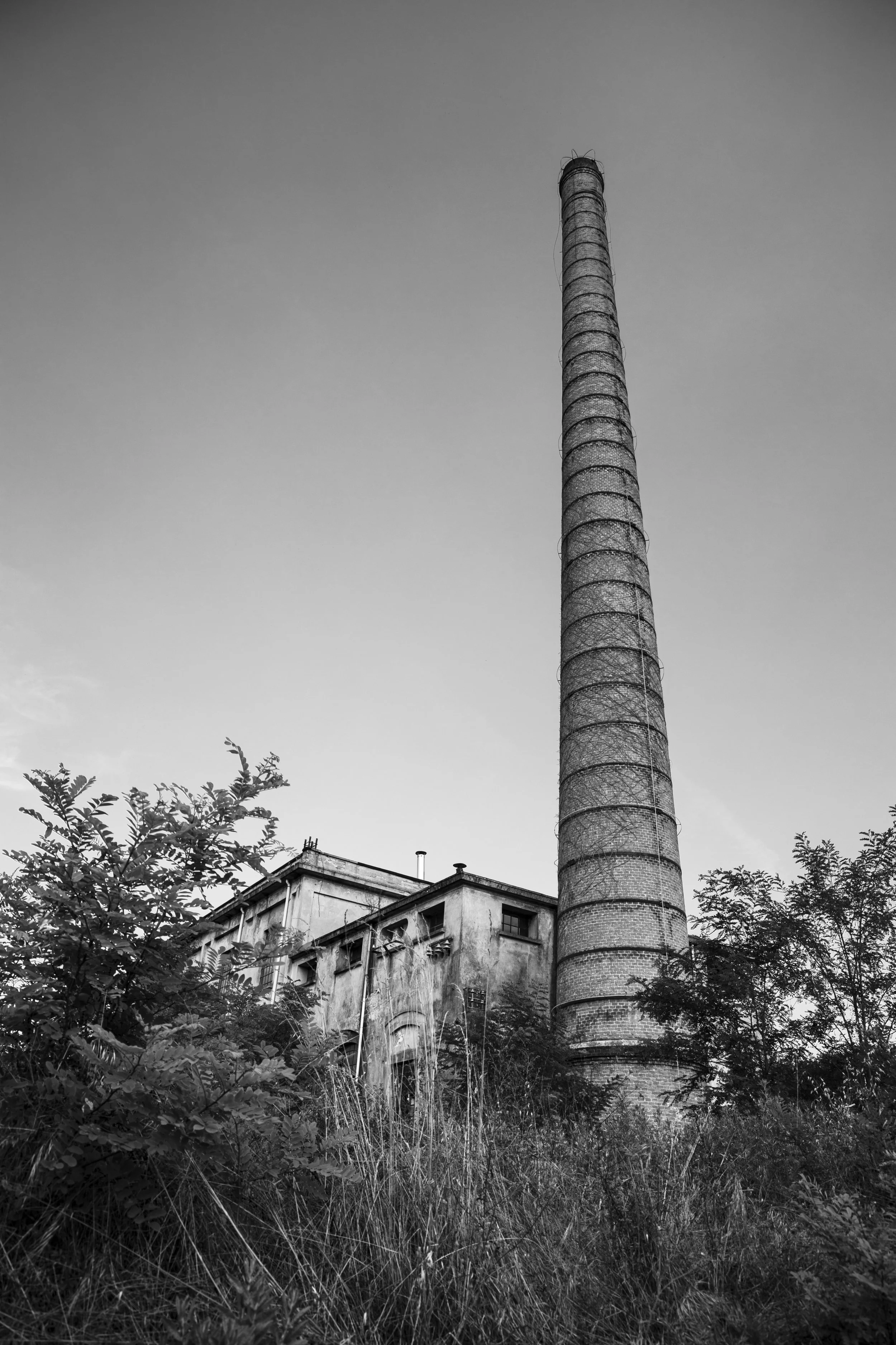 _X5A1722.jpg