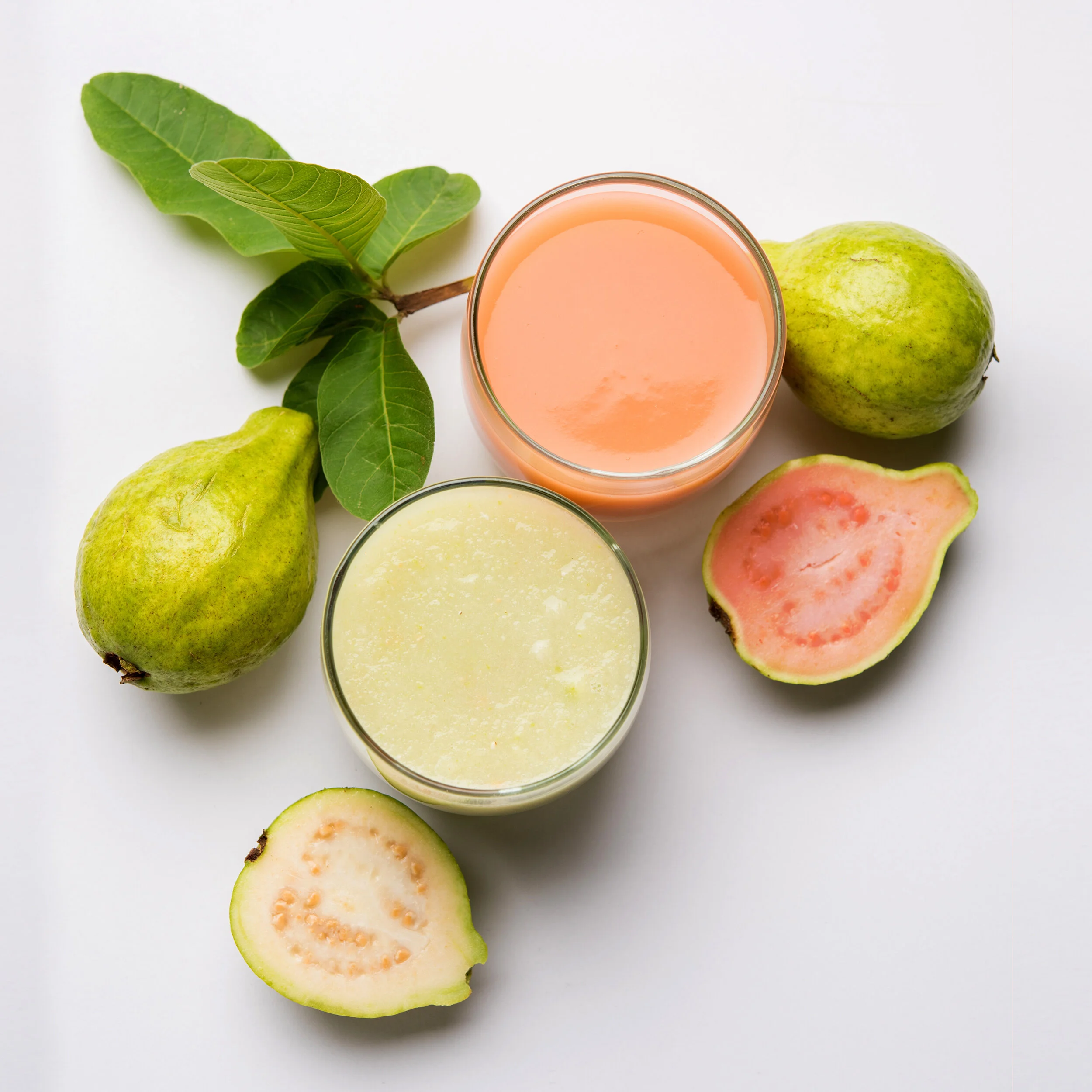 PRODUCTS — PREMIER JUICES