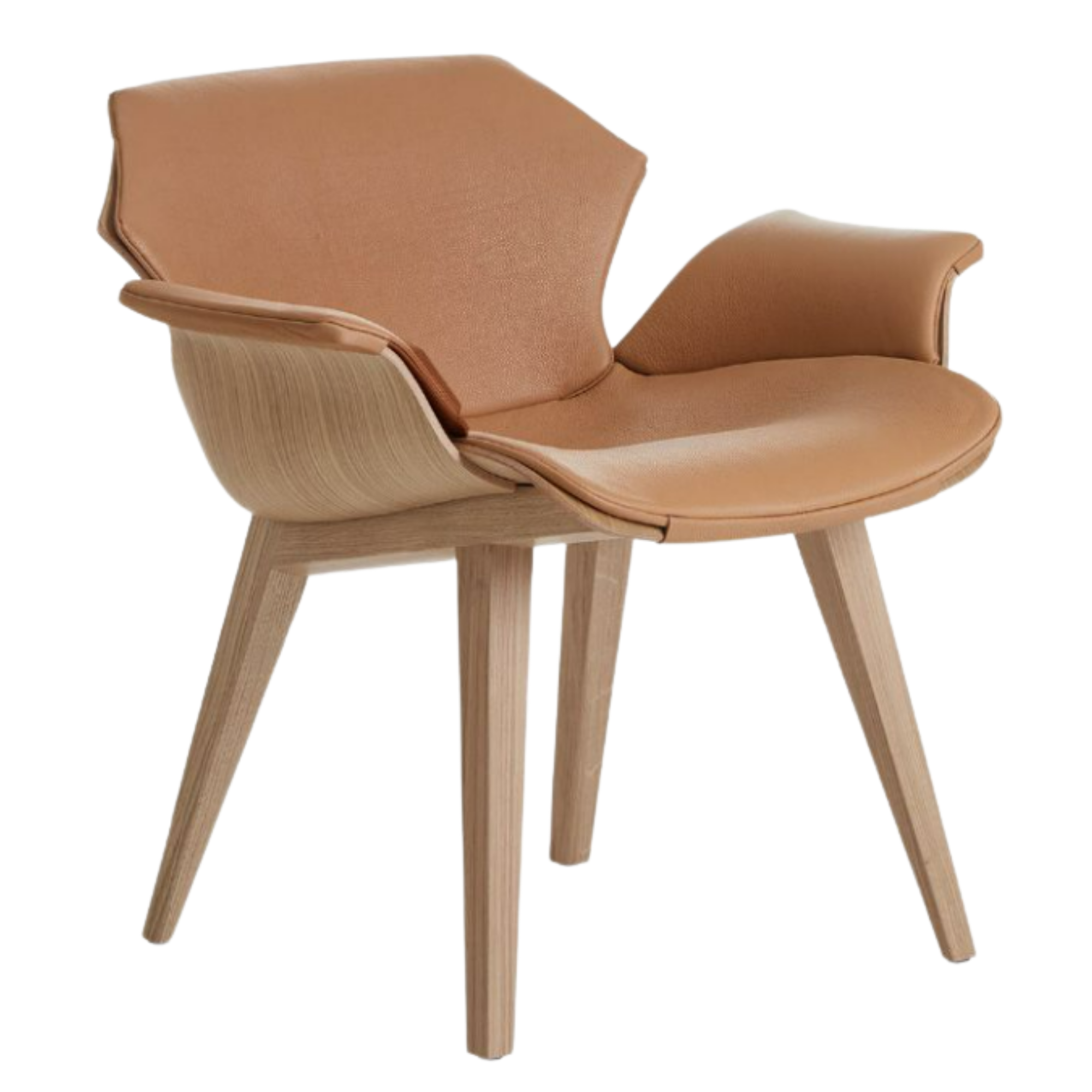 Petal Armchair