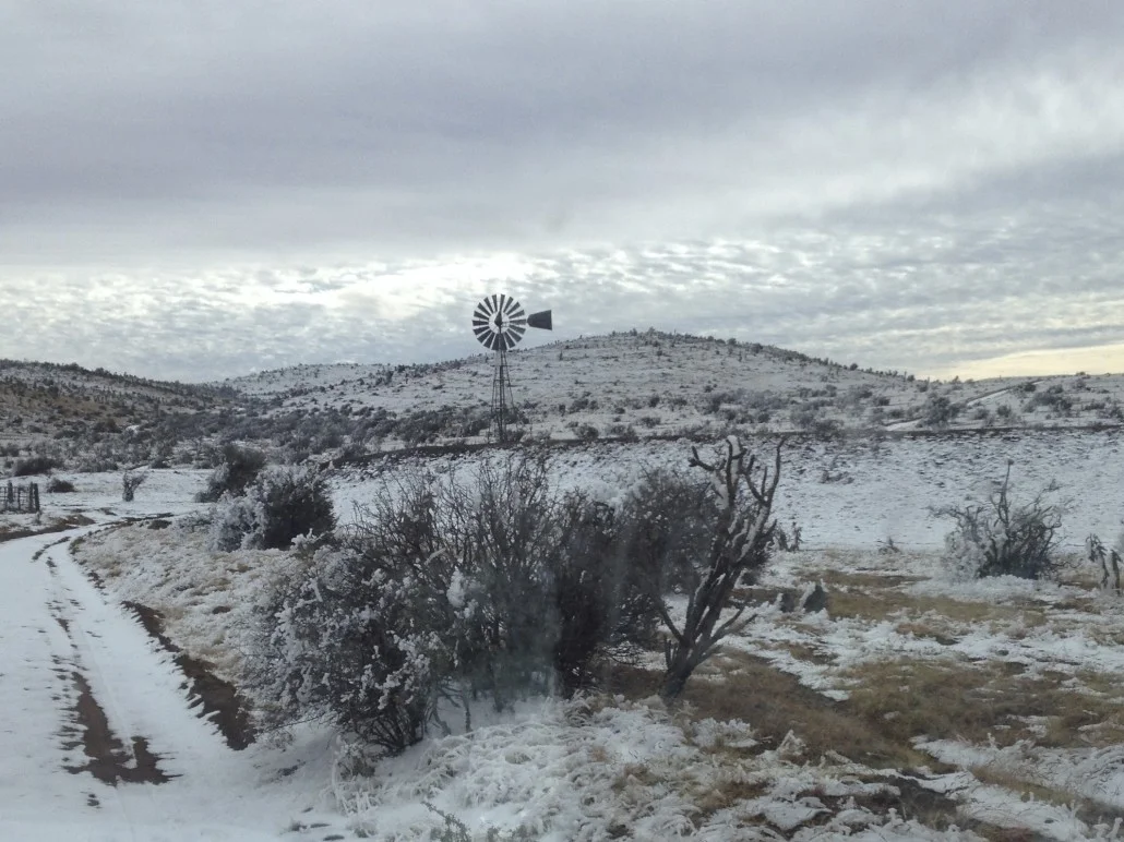 Scenery-4-1030x772.jpg