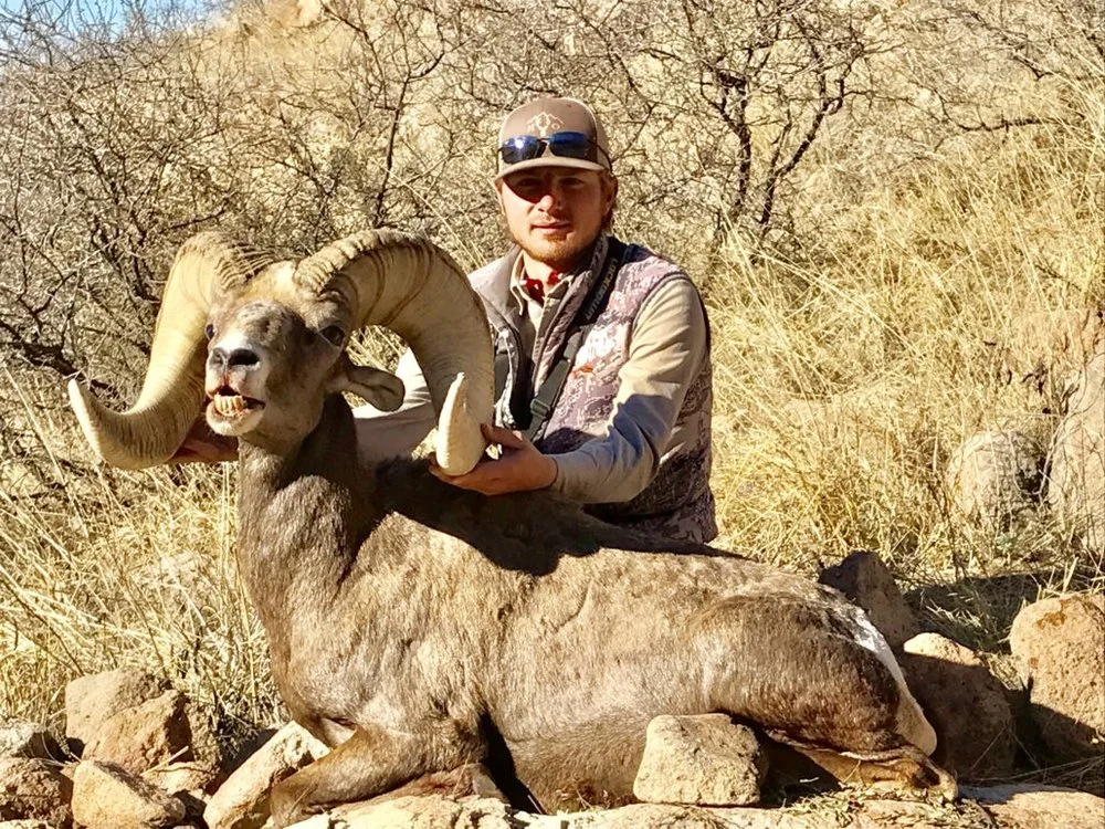 jbb big horn .jpg