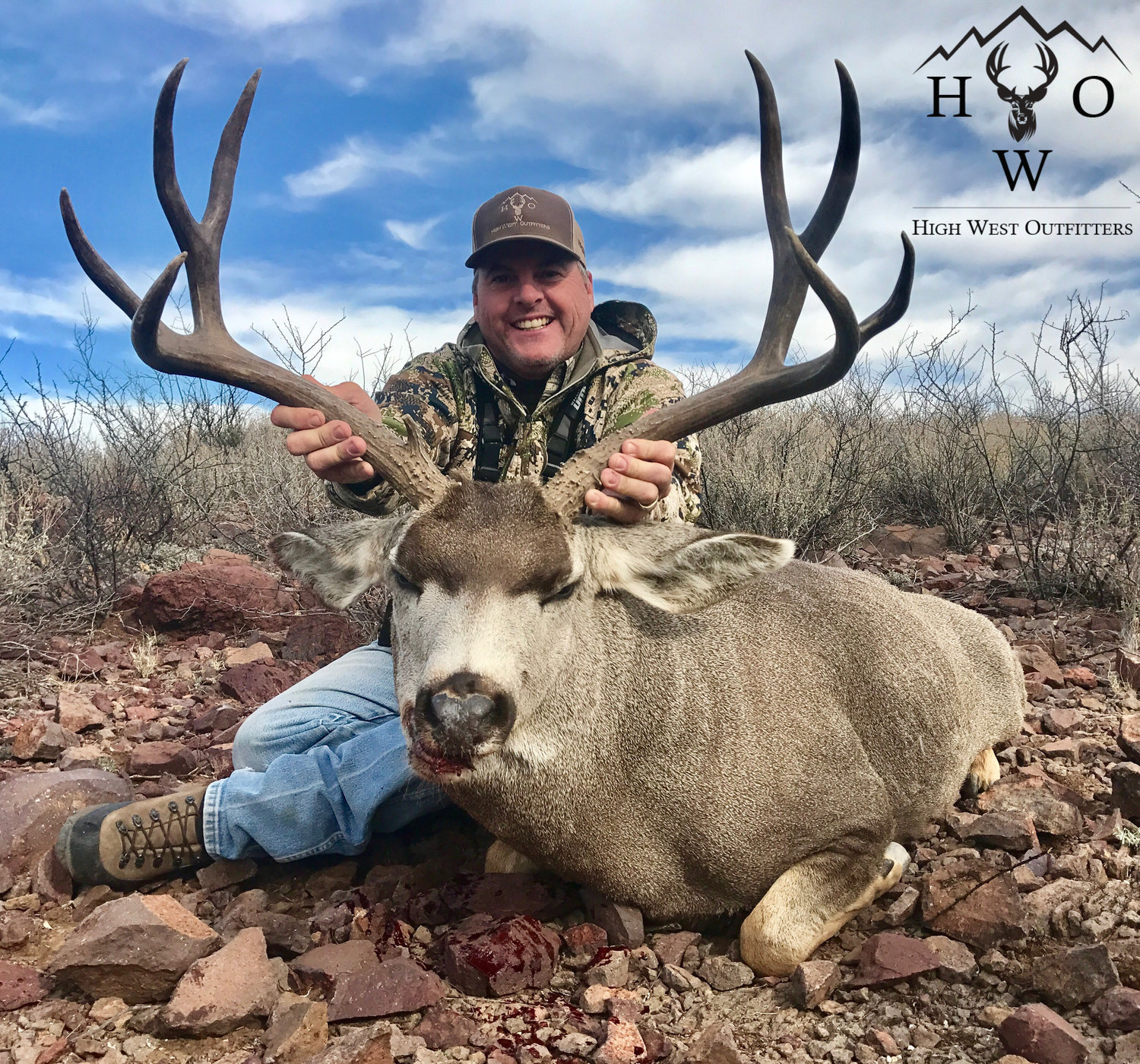 Hunt Mule Deer — High West Outfitter