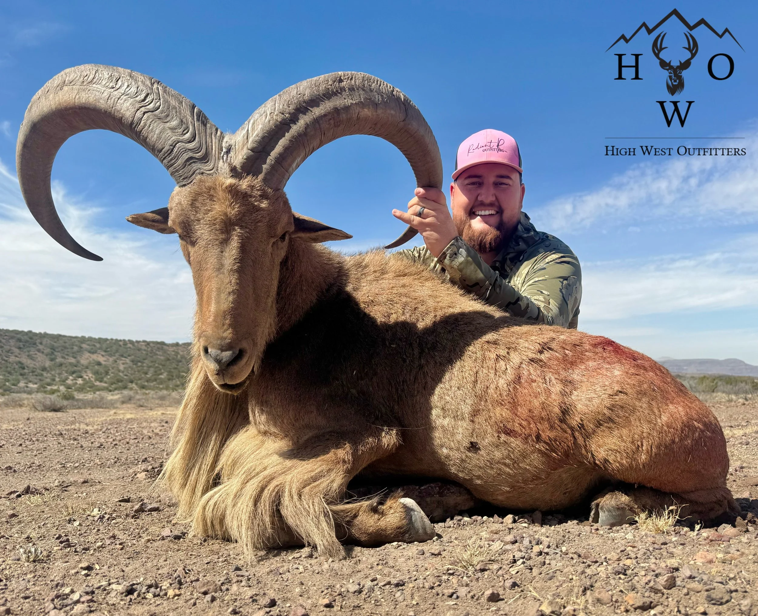 Aoudad Carousel1.JPG