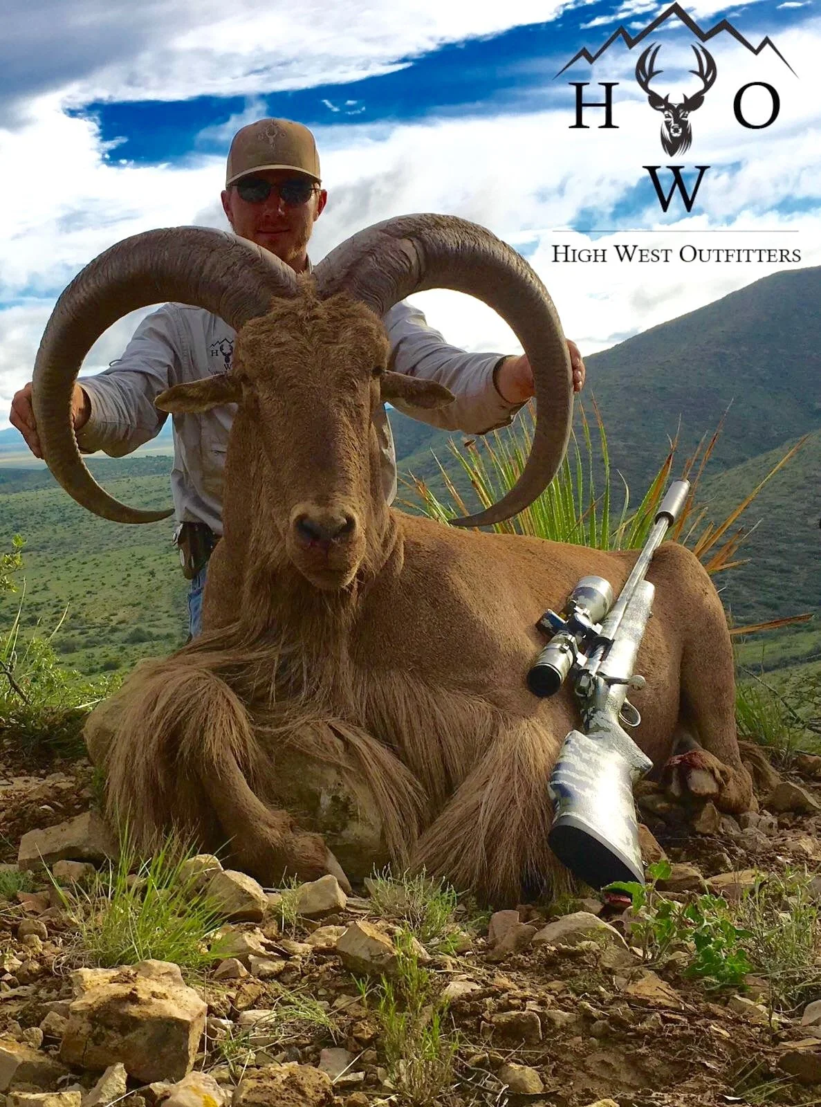Aoudad Carousel4.JPG