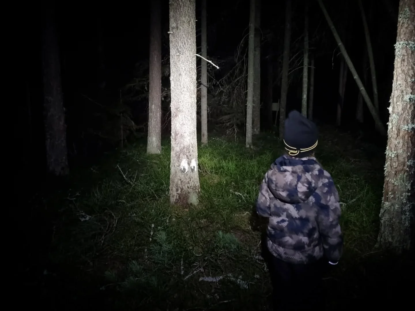 Jag blev s&aring; j&auml;dra lycklig n&auml;r jag fick fr&aring;gan om vi skulle g&aring; en kv&auml;llspromenad tillsammans efter middagen. Precis vad min tr&ouml;tta hj&auml;rna m&aring;dde bra av att f&aring; g&ouml;ra.

Mer tid i skog &aring;t fo