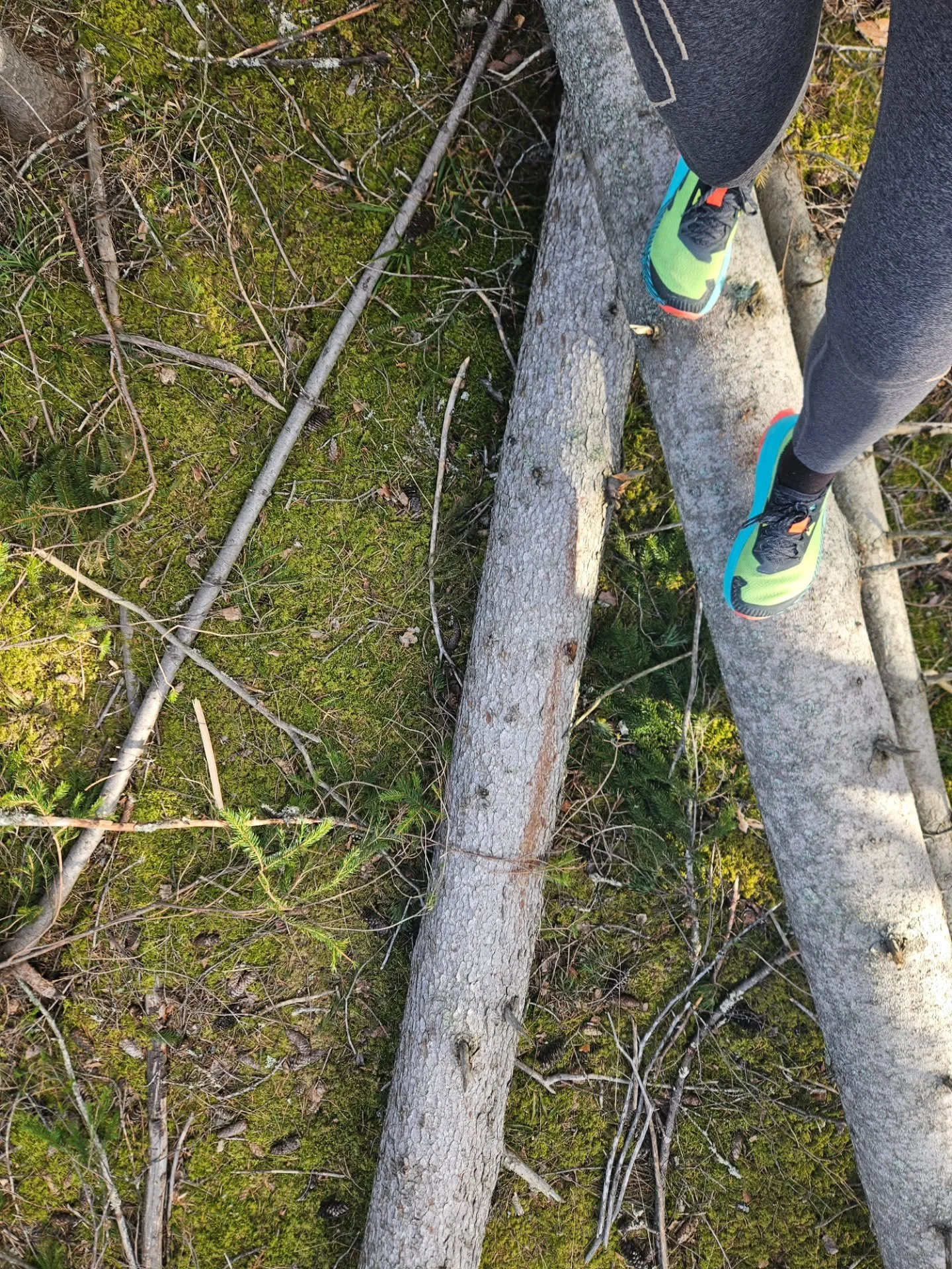Tr&auml;ningsformen transportl&ouml;pning i skogen &auml;r 
 underbar!🌲 Att springa genom skogen f&aring;r verkligen tankarna att fl&ouml;da och stressen att sl&auml;ppa. Det &auml;r som en liten semester f&ouml;r sj&auml;len, mitt bland tr&auml;den