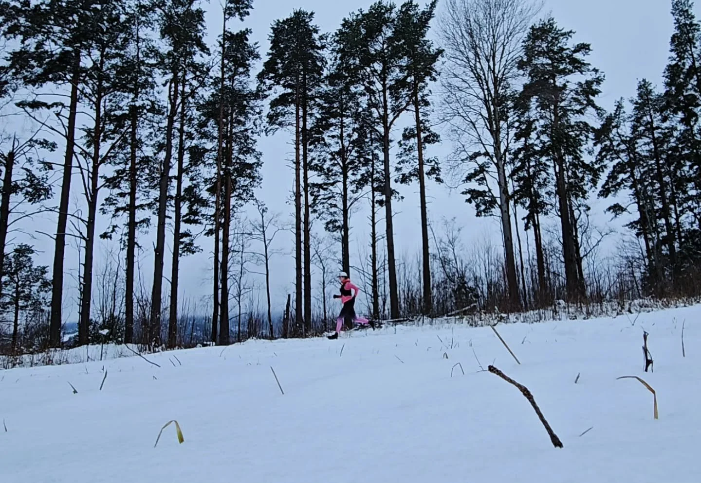 S&aring; var det vinter igen och dubbskor p&aring; f&ouml;r att f&aring; f&auml;ste i skogen!