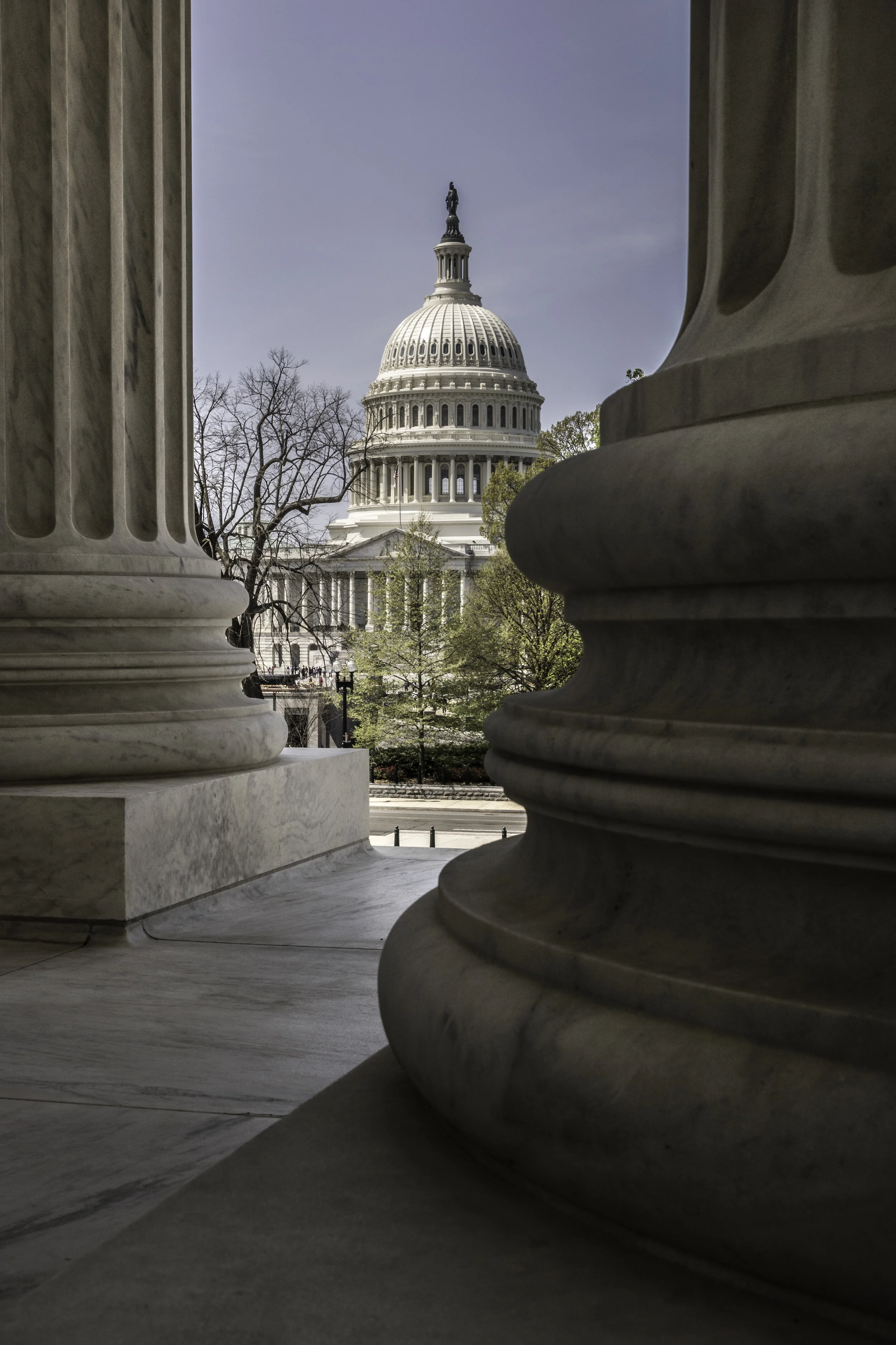 Do we have too much judicial review?