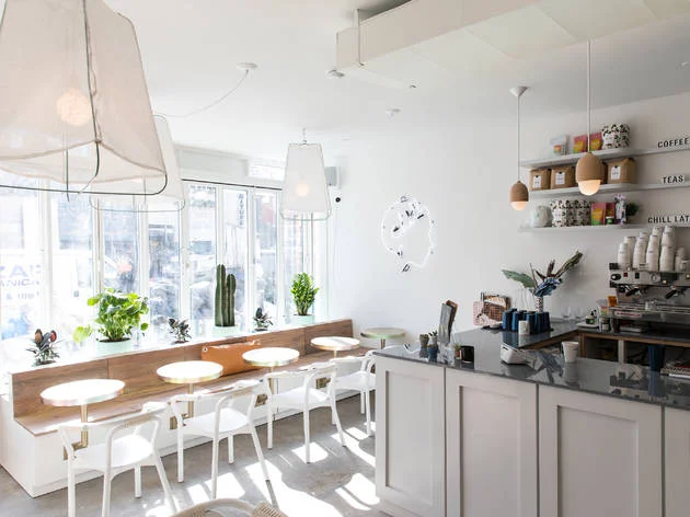 White Wood Flooring: How to Make It Work For Your Project 