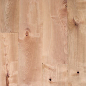 &lt;p&gt;Pacific Madrone&lt;/a&gt;&lt;/p&gt;