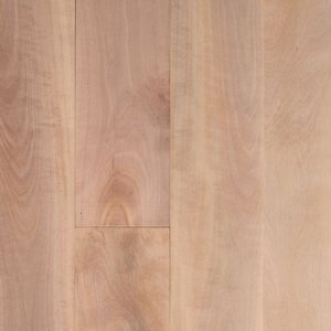 &lt;p&gt;PACIFIC MADRONE&lt;/a&gt;&lt;/p&gt;