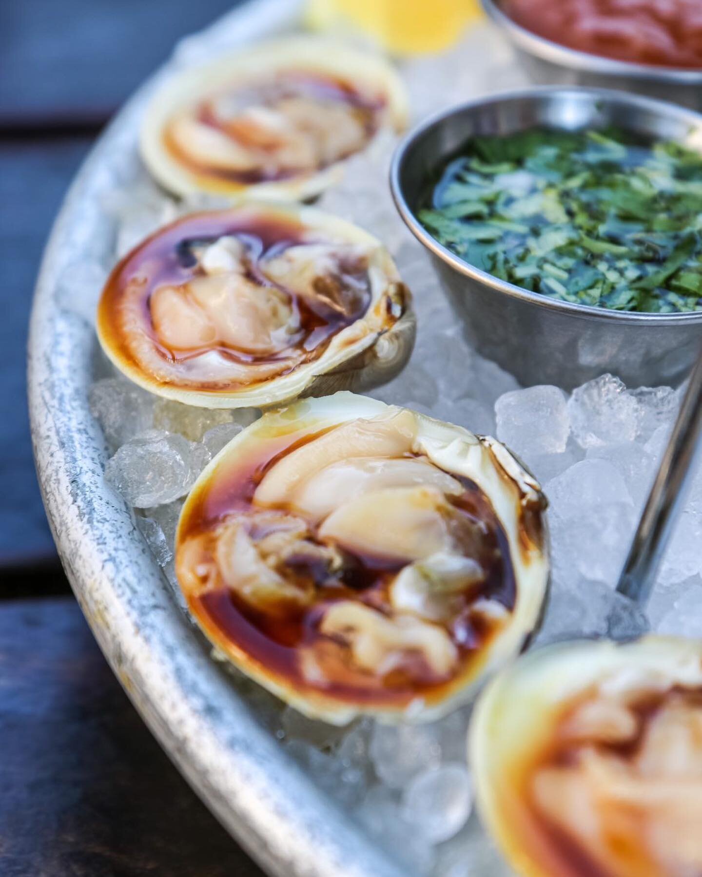 Hand dug littleneck clams⛏️🦦🦺
dressed w. ponzu and served on ice🧊 
📍Maquoit Bay, ME
📸 @maryelda 

Mon-Fri 4-10
Sat-Sun 12-10
*last seating every night at 10pm