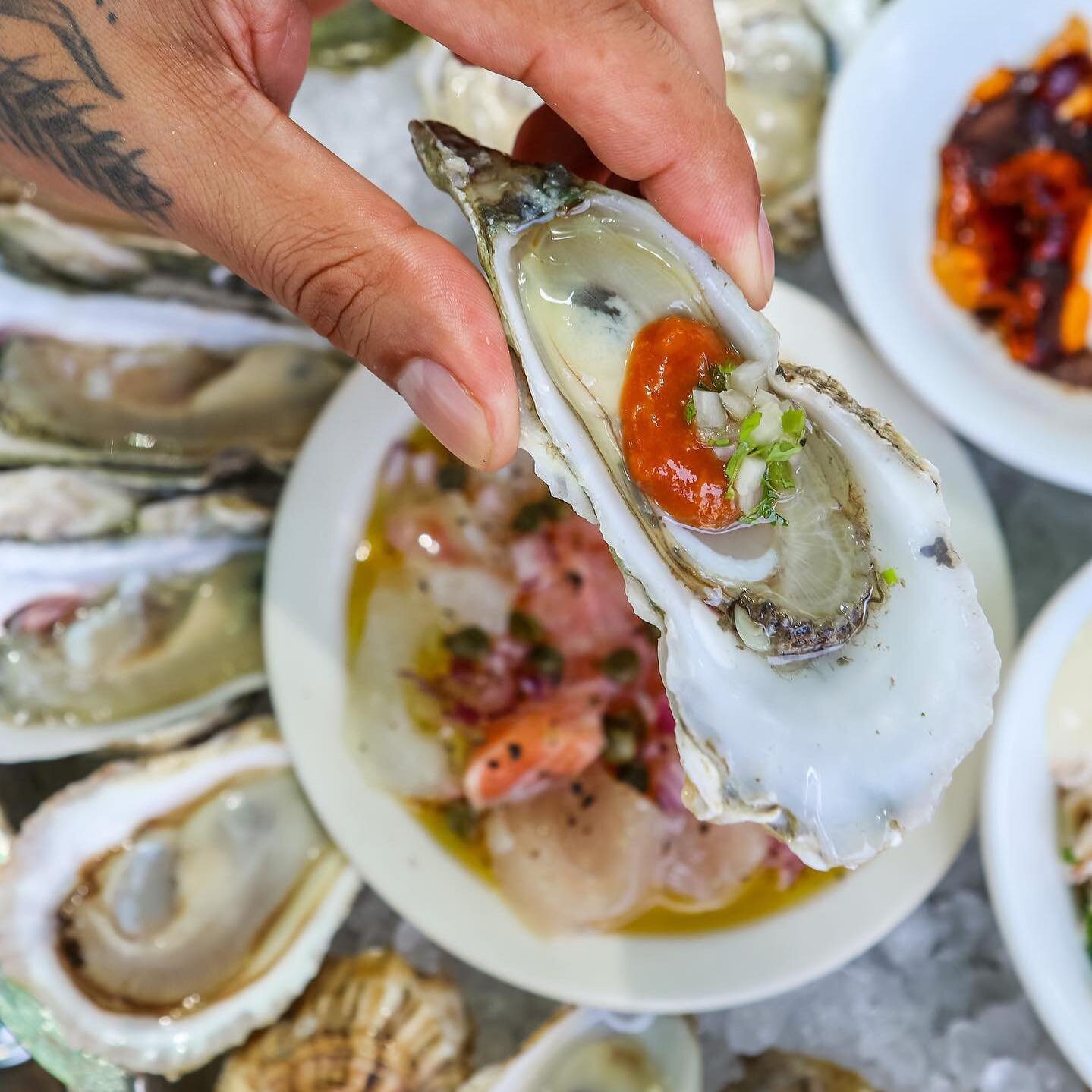 Blades ⚔️🦦🪒
🦪 @barrierislandoysters 
📸 @maryelda 

Blades! Wild, knife edged oysters, grown in clusters, harvested from the shorelines of estuaries in South Carolina&rsquo;s lowcountry. At an oyster roast growing up, @arikolender would have been 