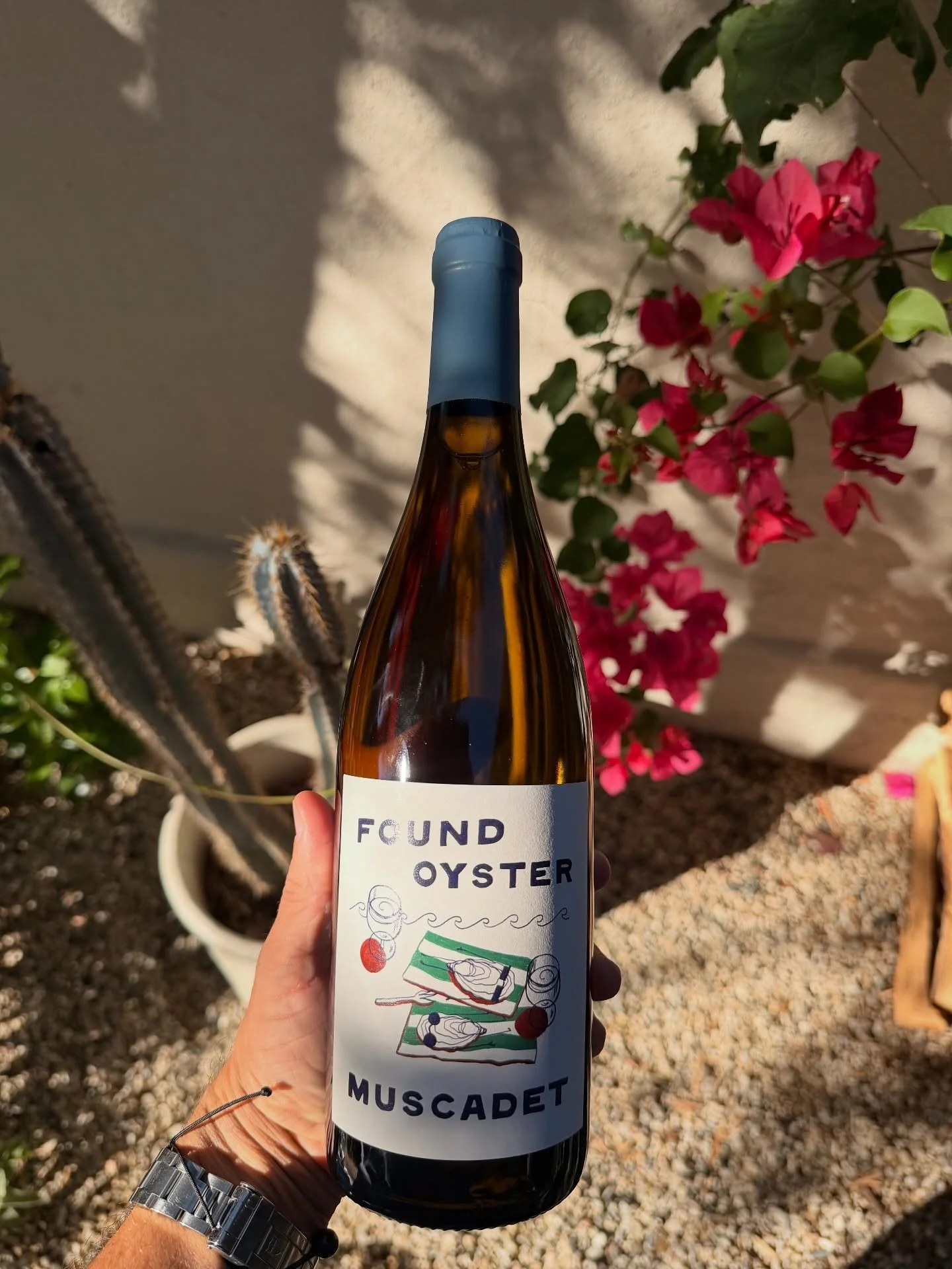 Mucadet on deck ⛵️